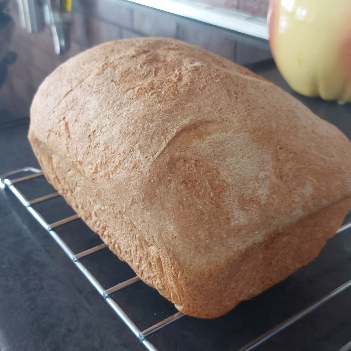 Soft Whole Wheat Bread