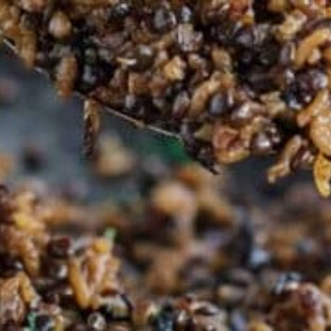 Mujadara: Lentils and Rice with Crispy Onions