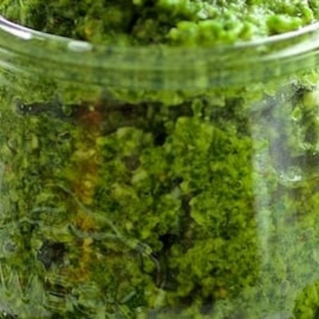 Radish Greens Pesto