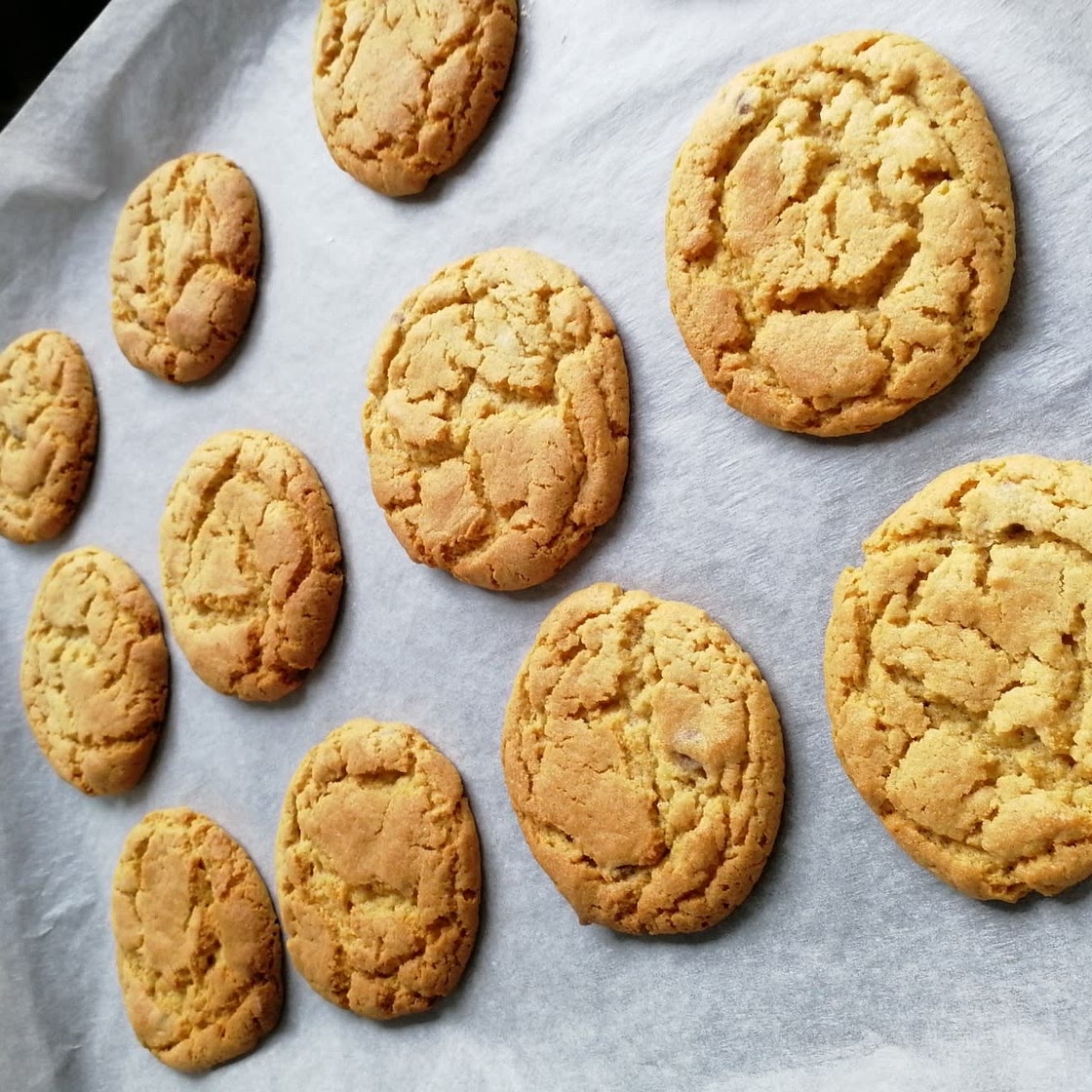 Molten Chocolate Peanut Butter Cookies