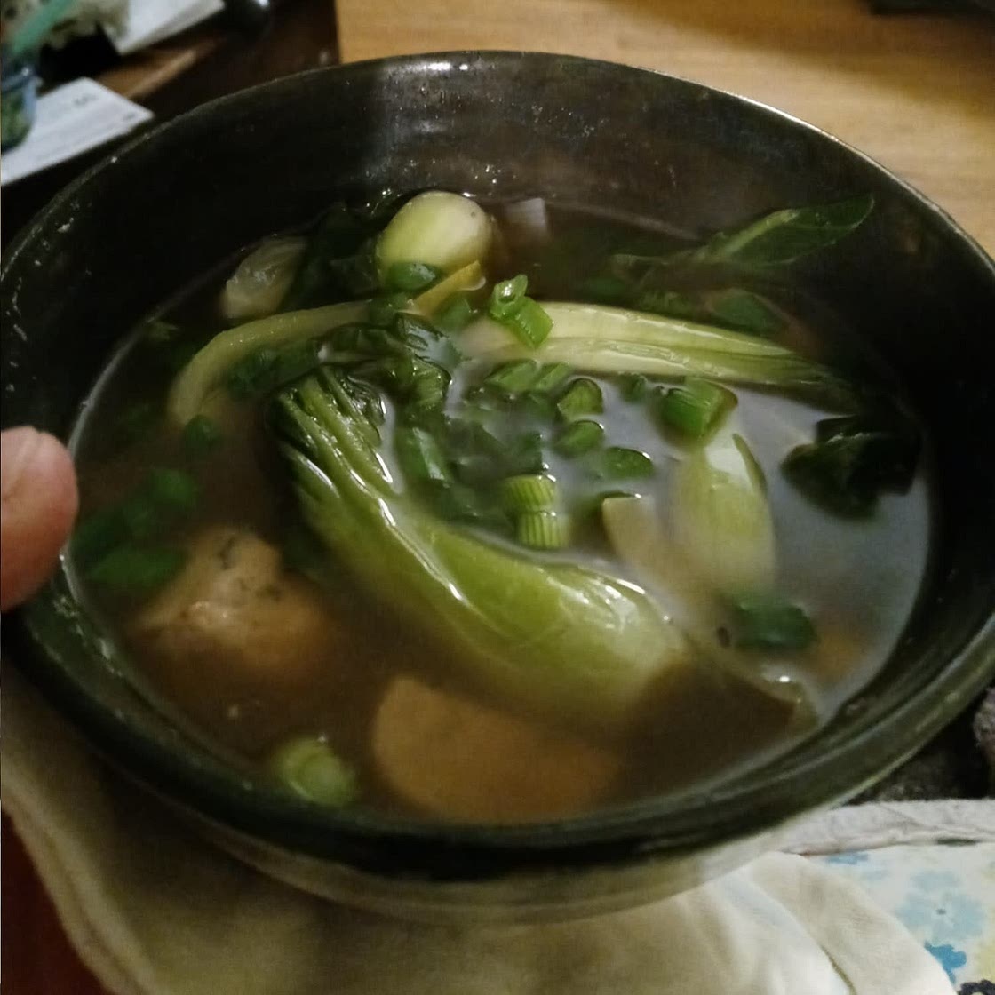 15 Minute Wonton Soup