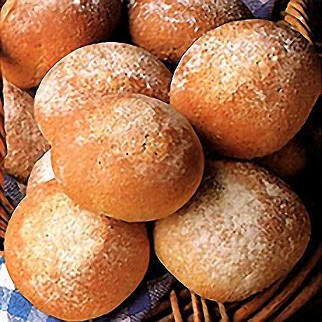 Quick Brown Rolls