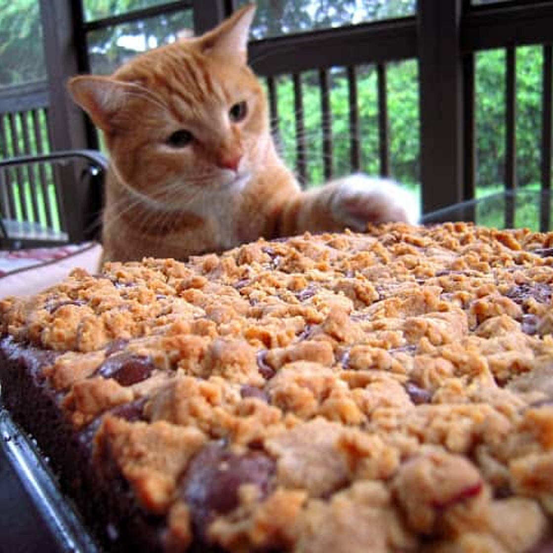 Peanut-Butter Streusel Brownies - Plain Chicken