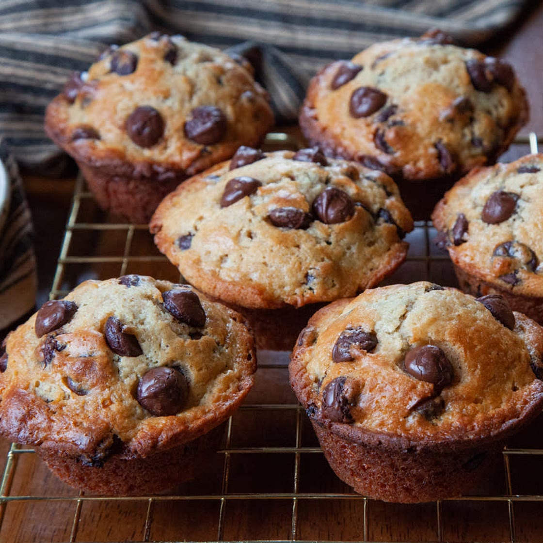 Chocolate Chip Muffins