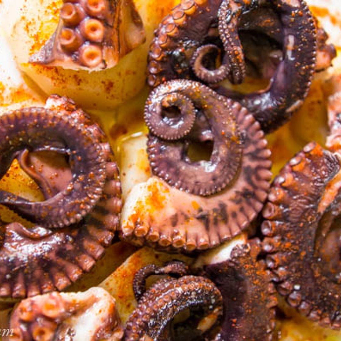 Tapas | Pulpo a la Gallega