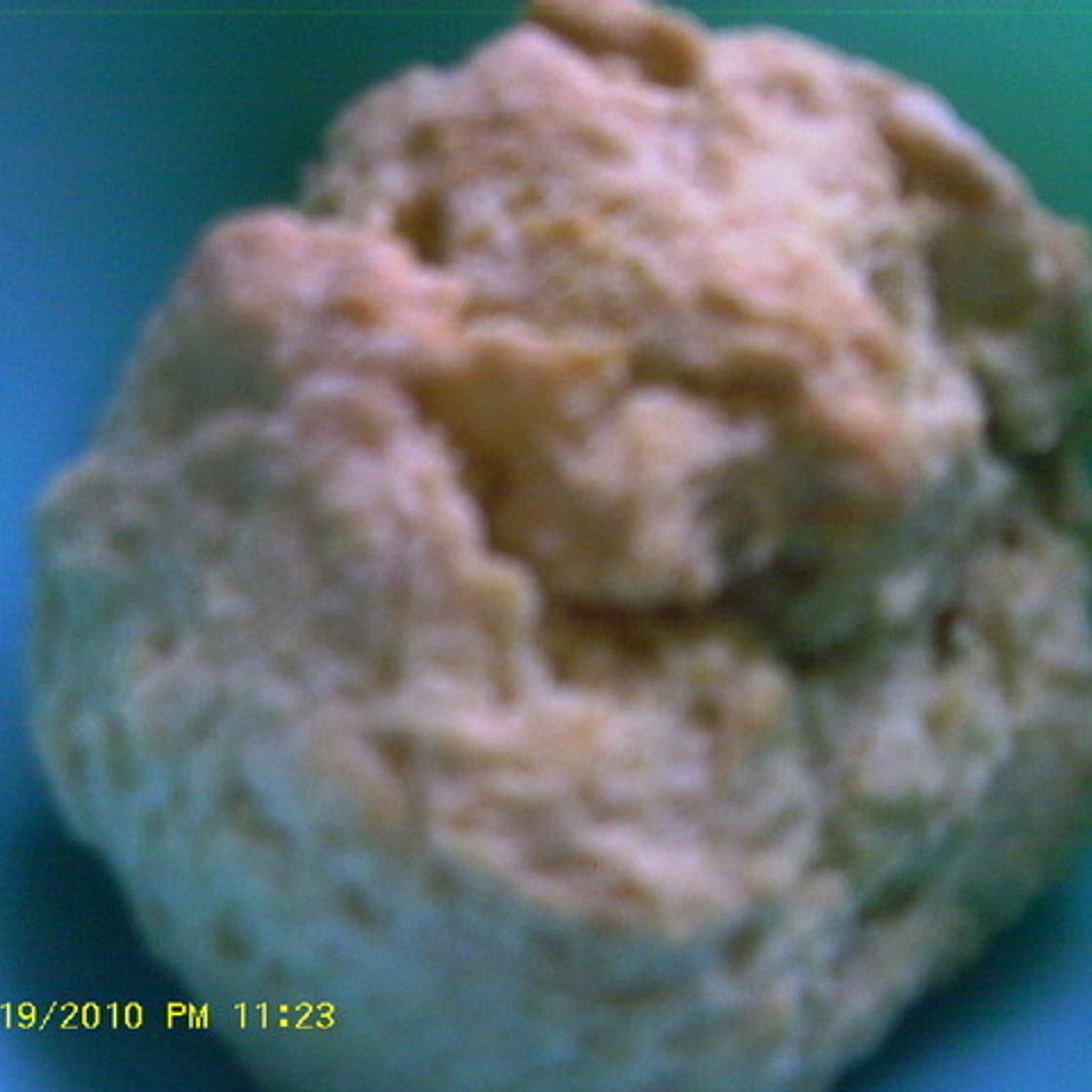 Boardinghouse-Style Biscuits Recipe