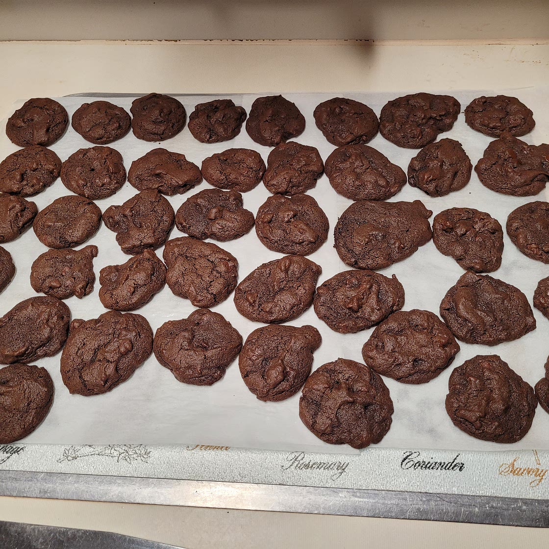 Chocolate Chocolate Chip Cookies I