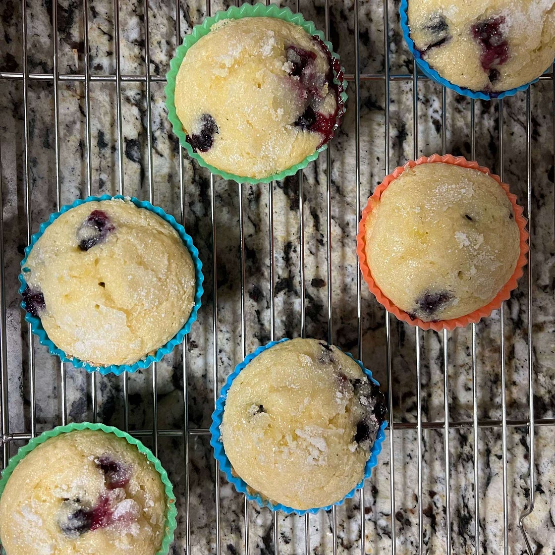 Blueberry Muffins
