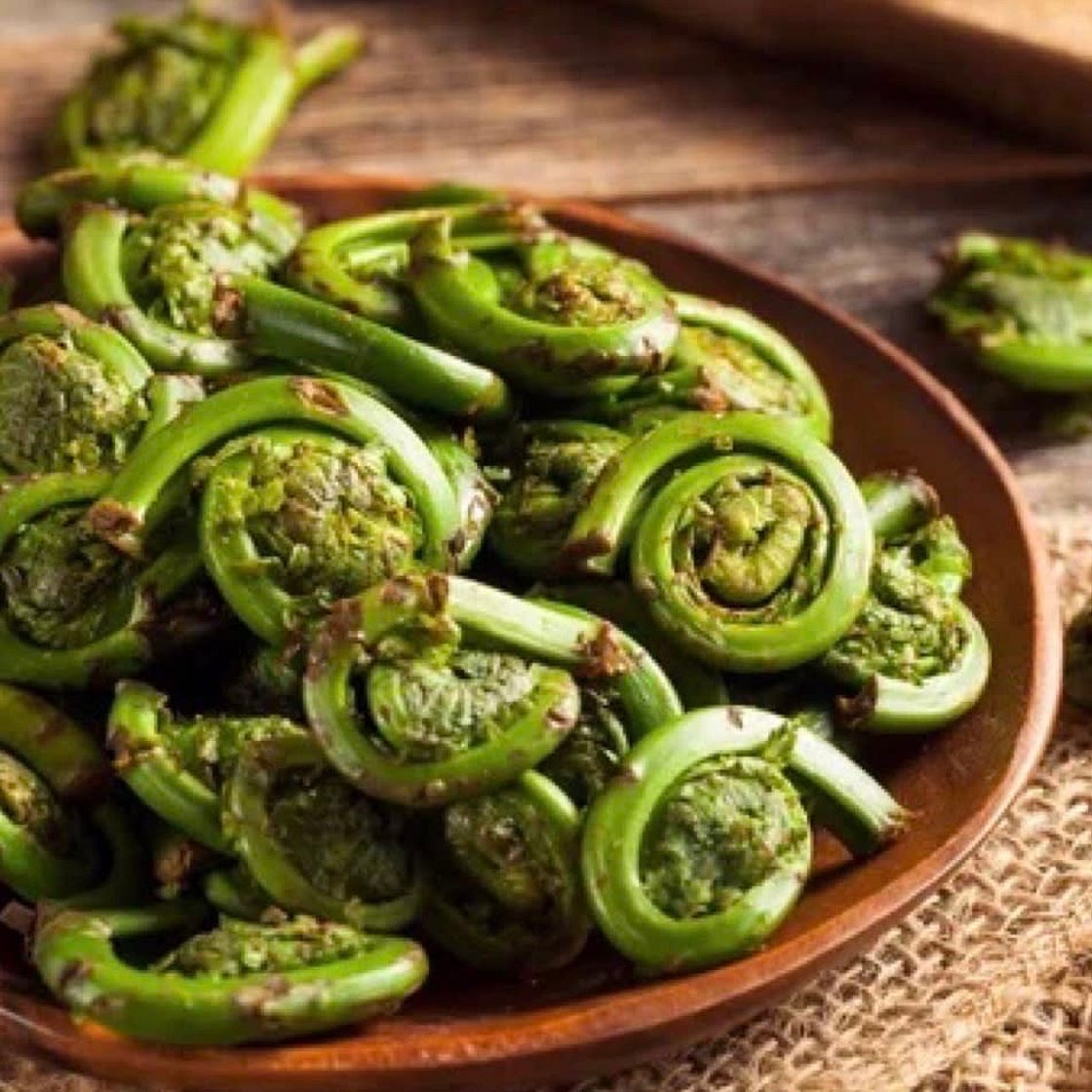 Cream of Fiddlehead & Potato Soup