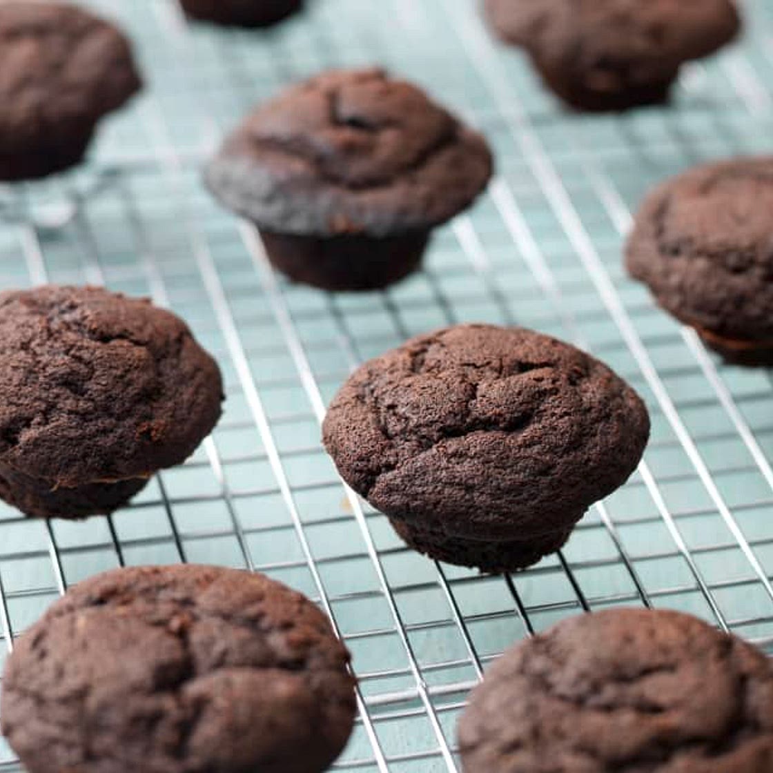 Mini Double Chocolate Muffins