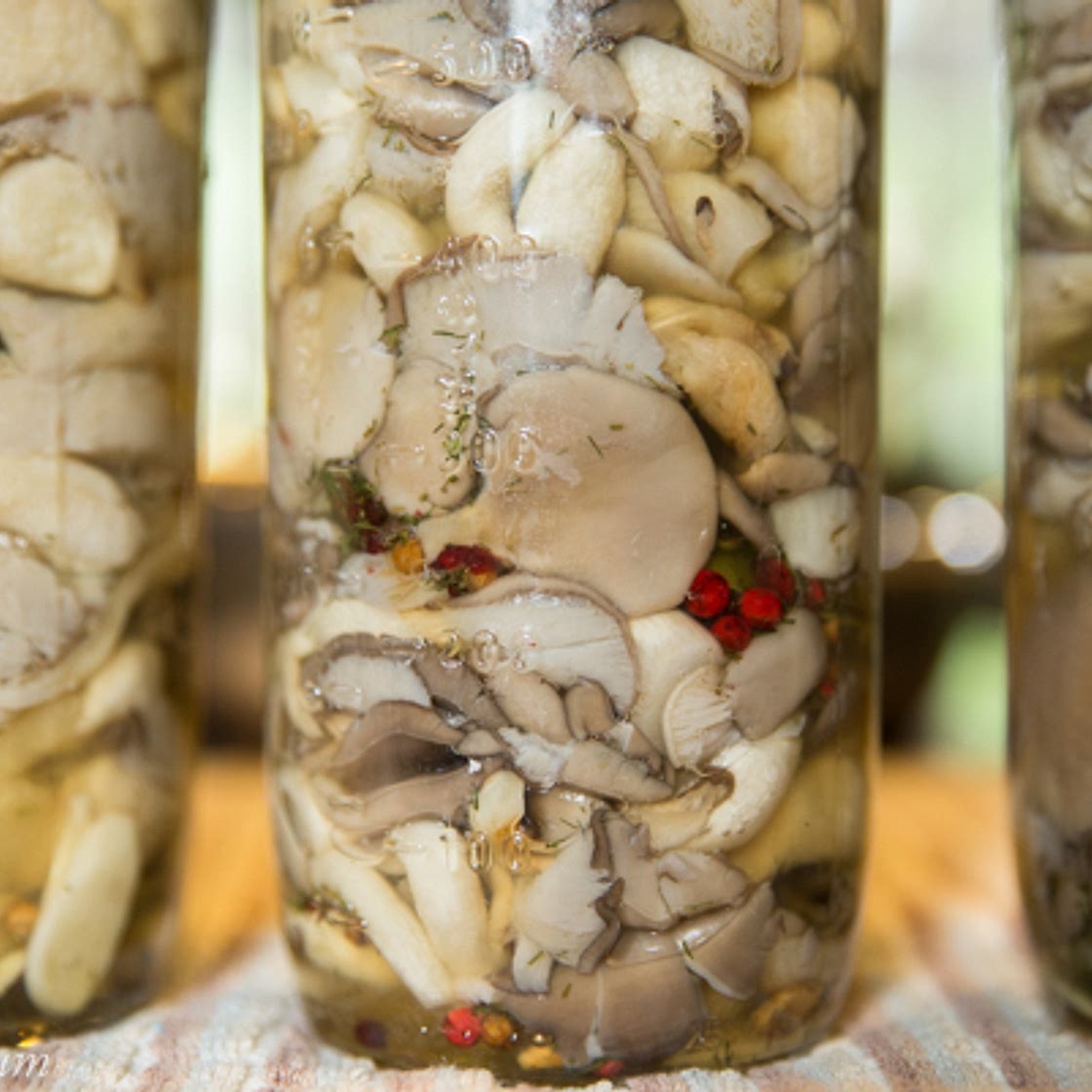 Pickled Oyster Mushrooms