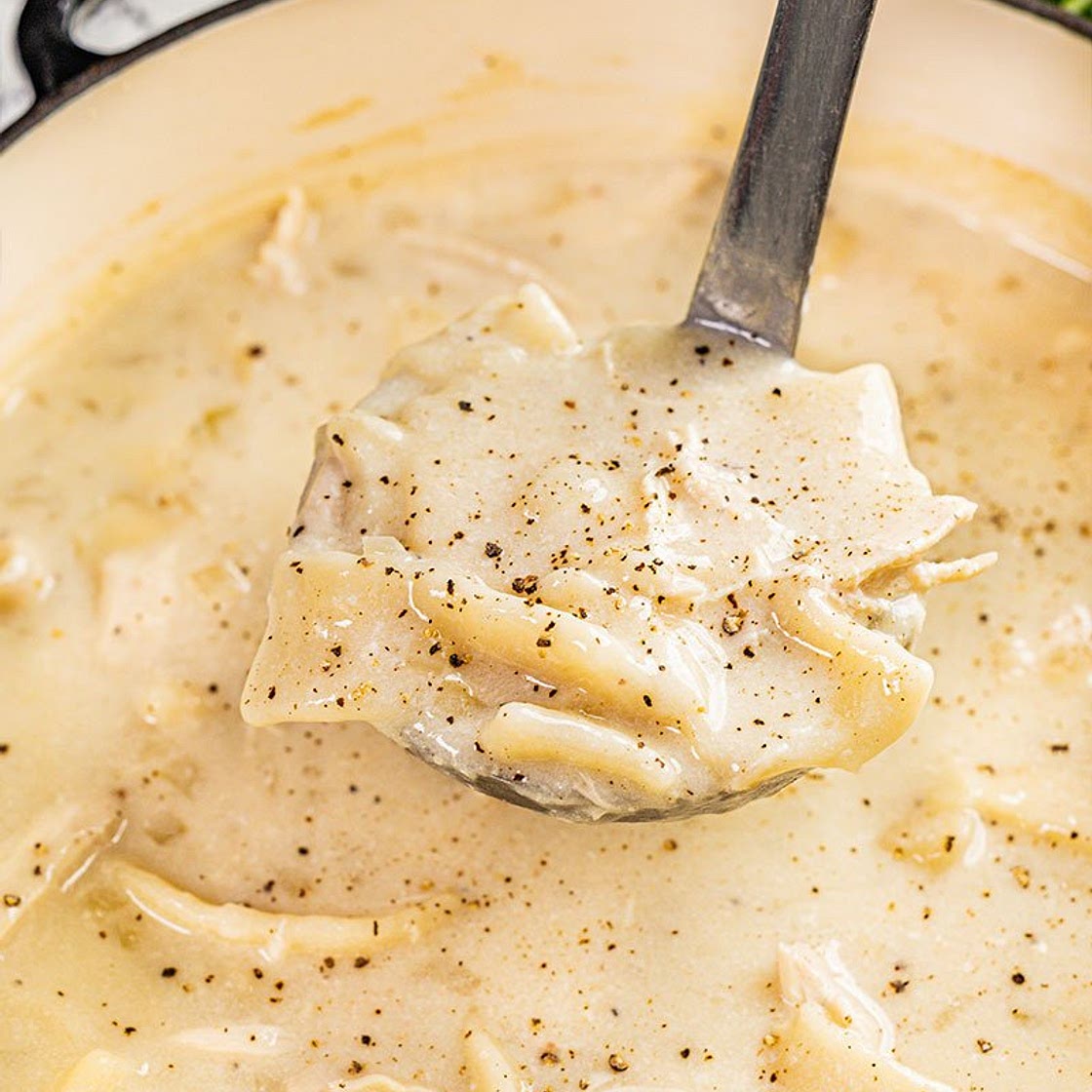 Southern Style Chicken and Dumplings