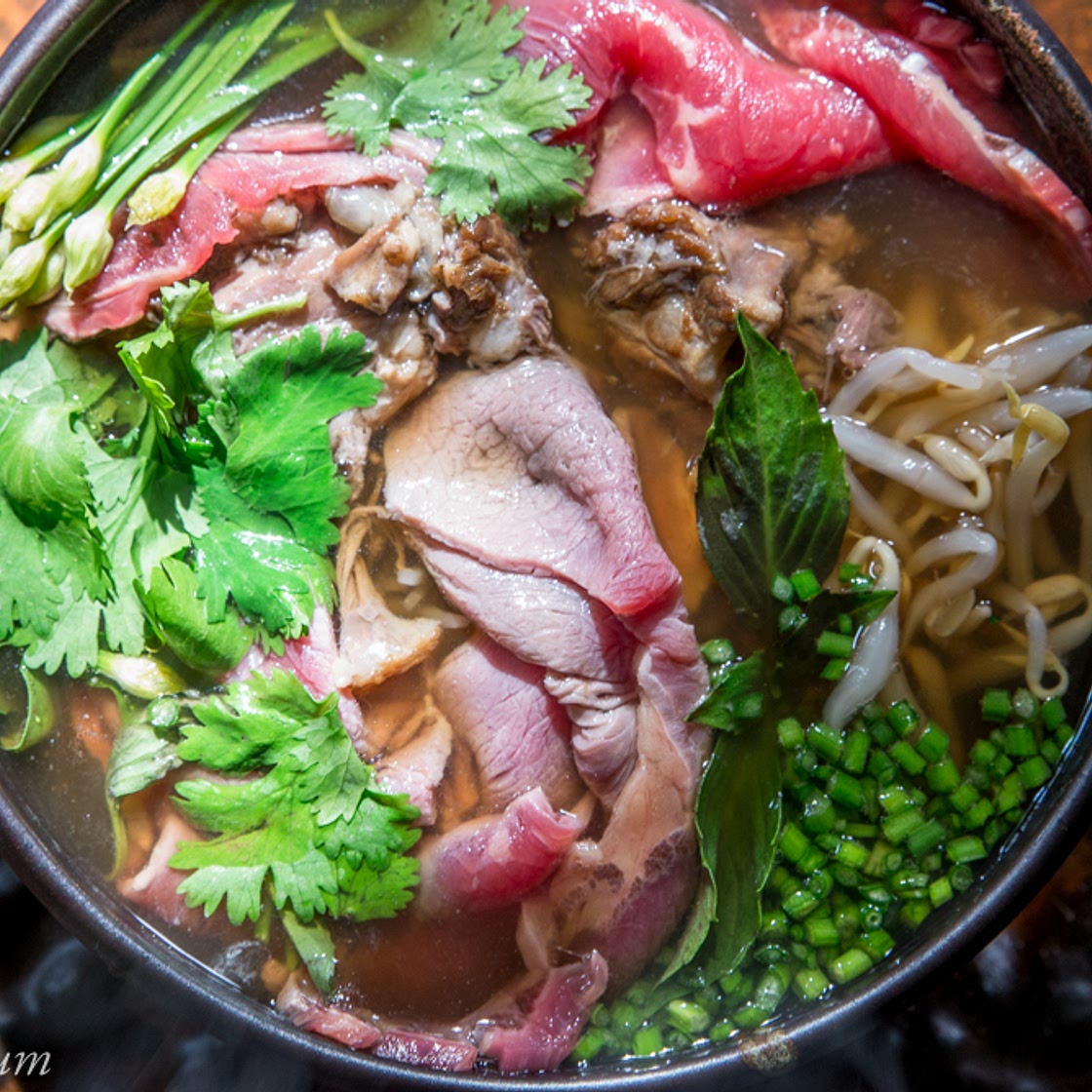 Pho Bo with Beef Tendon and Tail