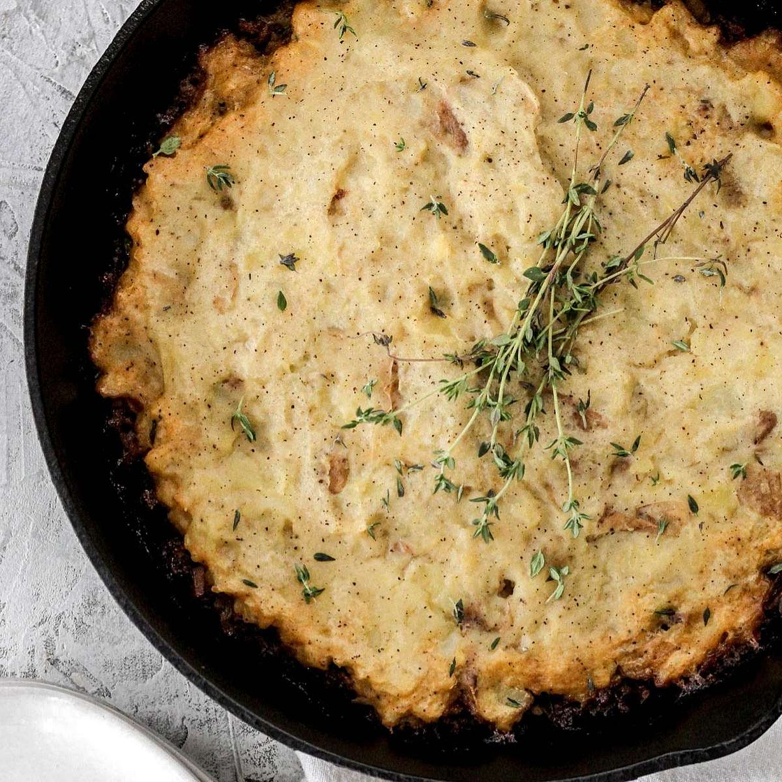 Bison Shepherd's Pie