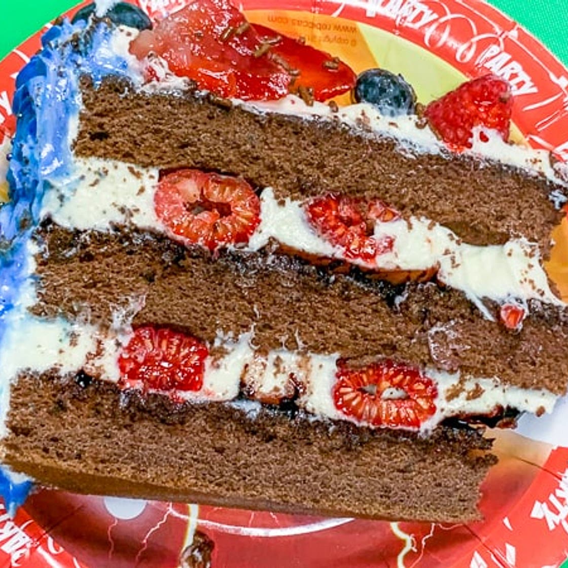 Chocolate Japanese Sponge
