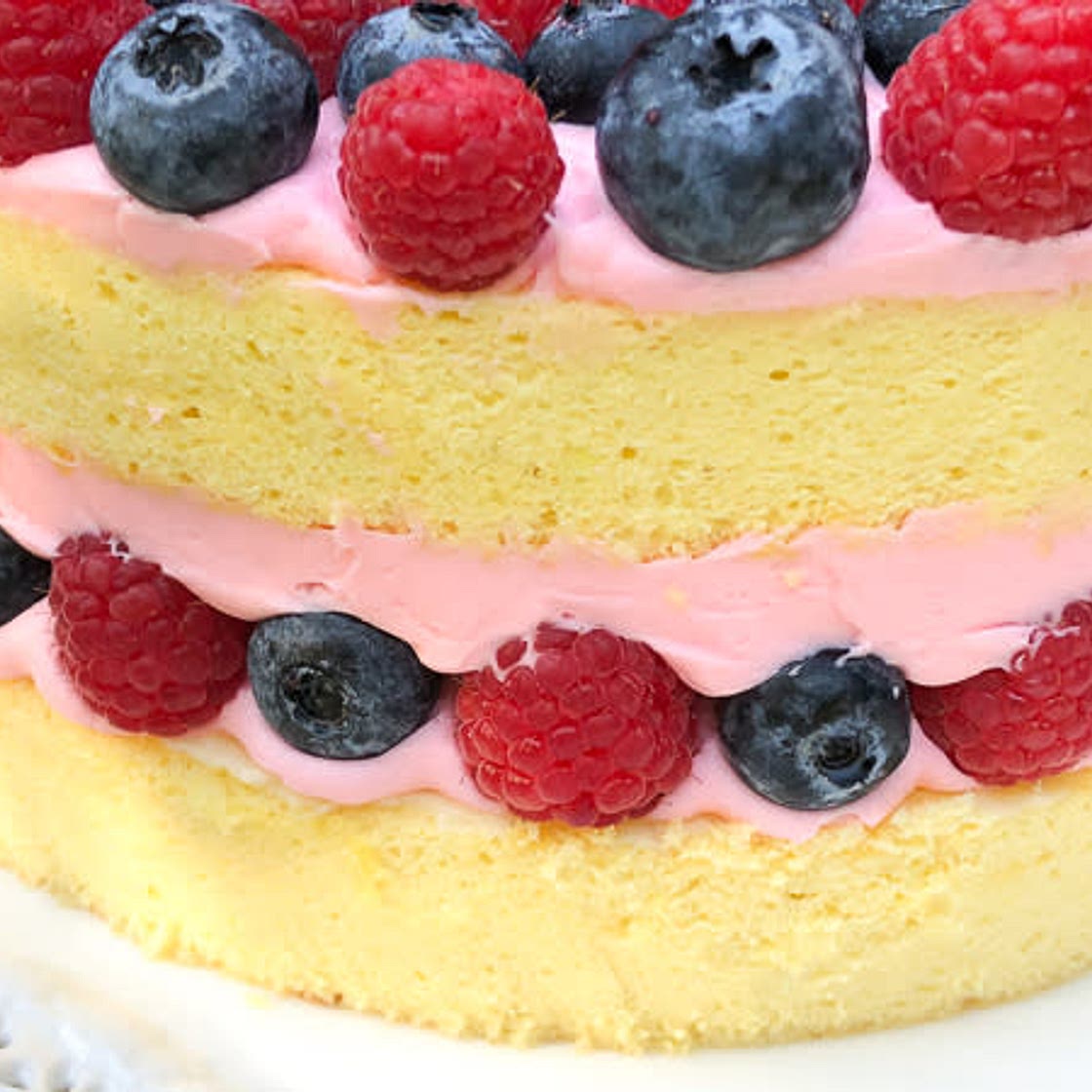 Vanilla Japanese Sponge