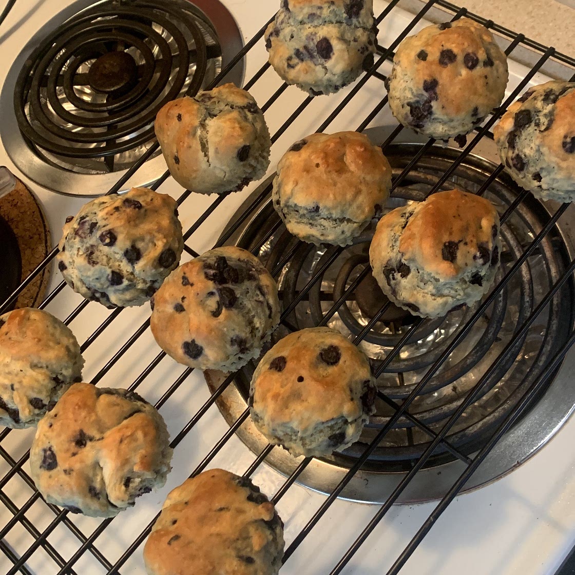 Vegan Blueberry Muffins