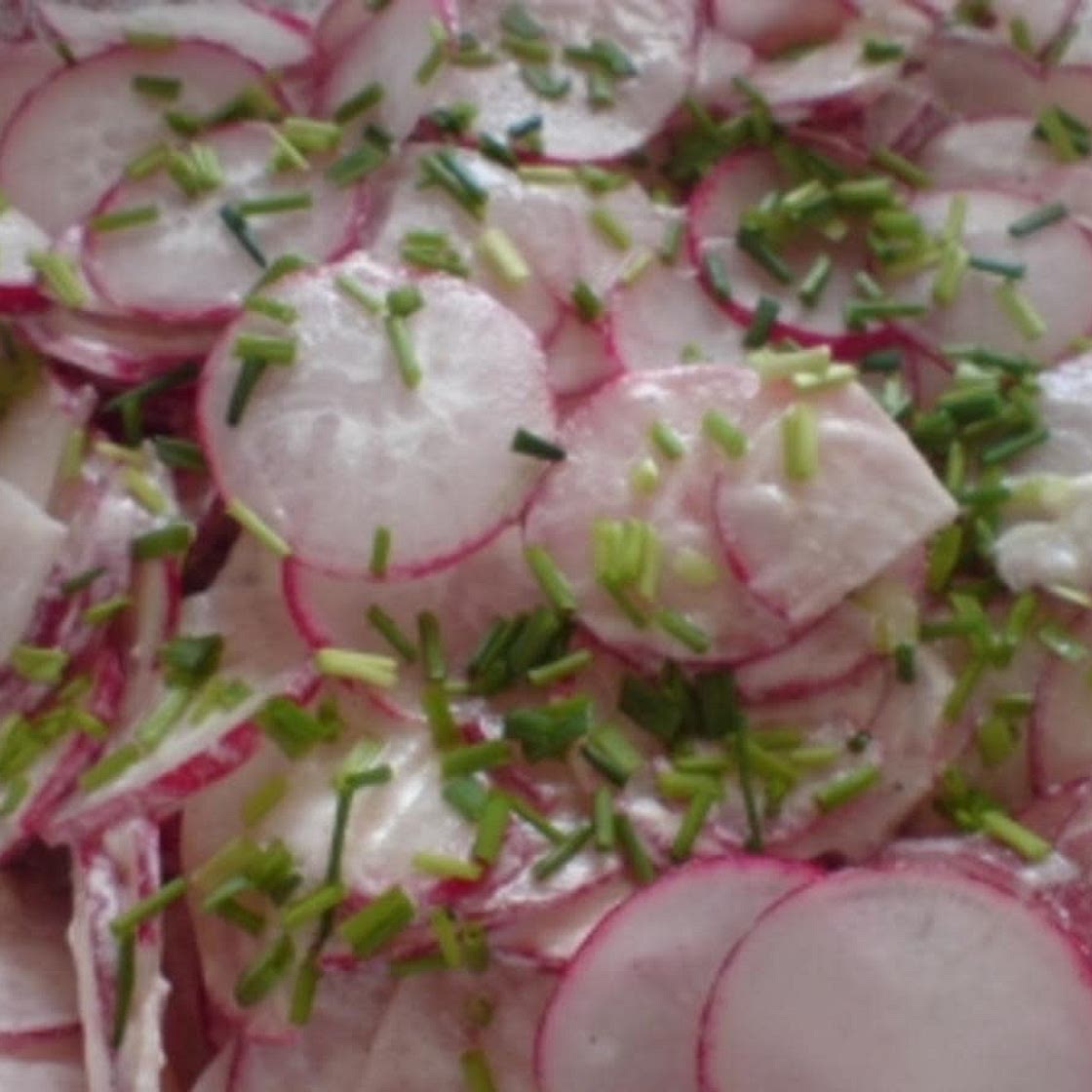 Radieschensalat à Monsieur Frooonck