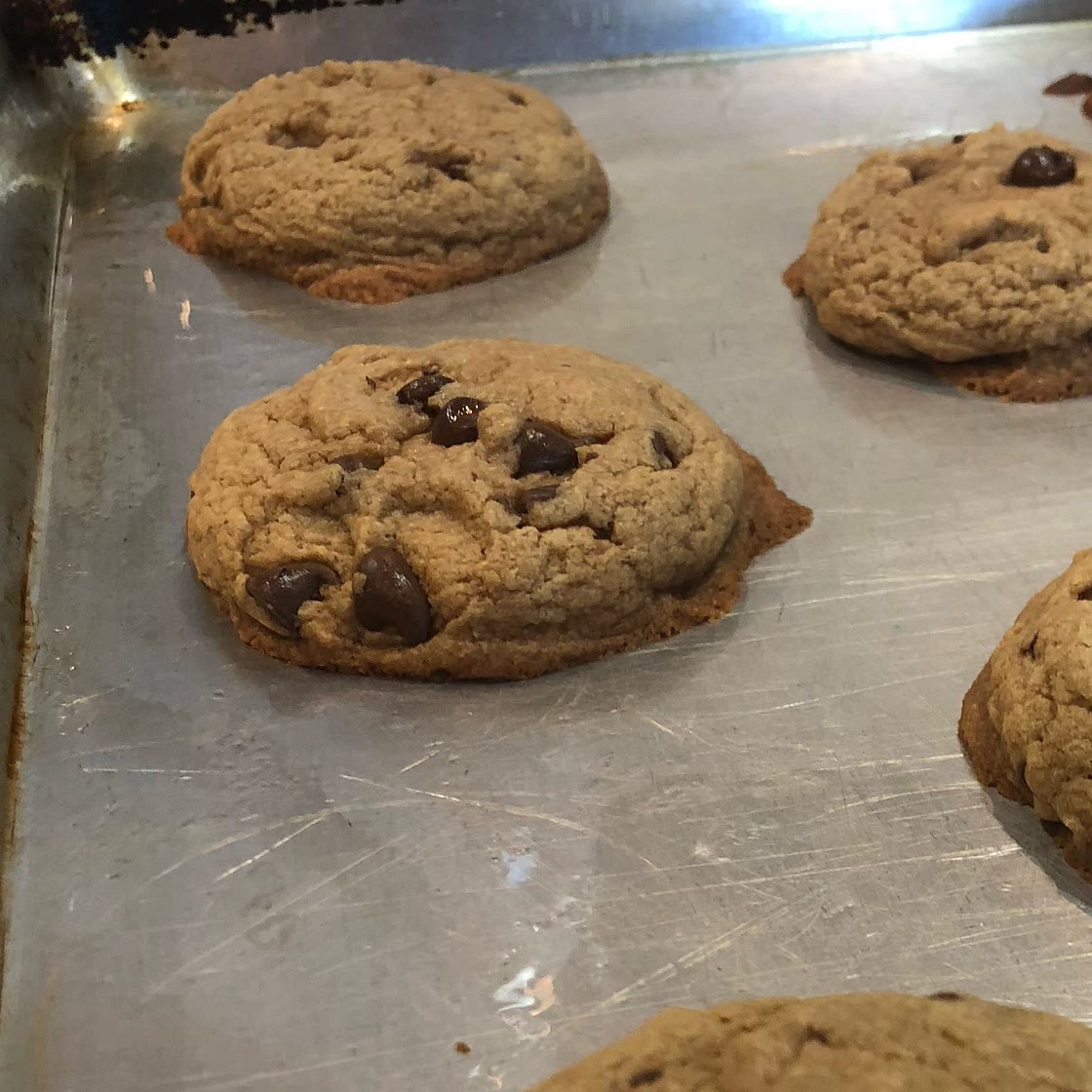 Peanut Butter Chocolate Chunk Cookies