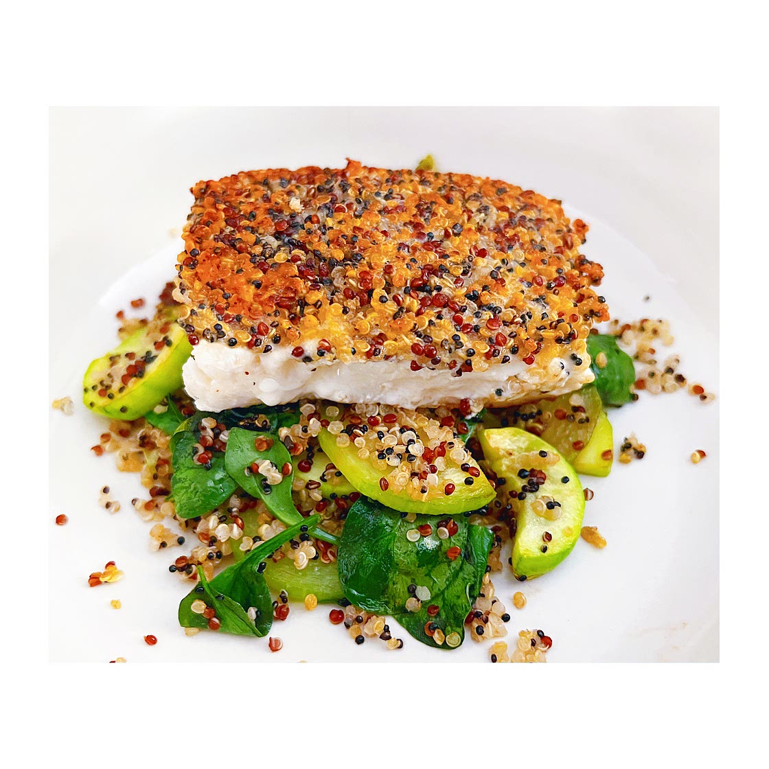 Golden Quinoa Crusted Halibut