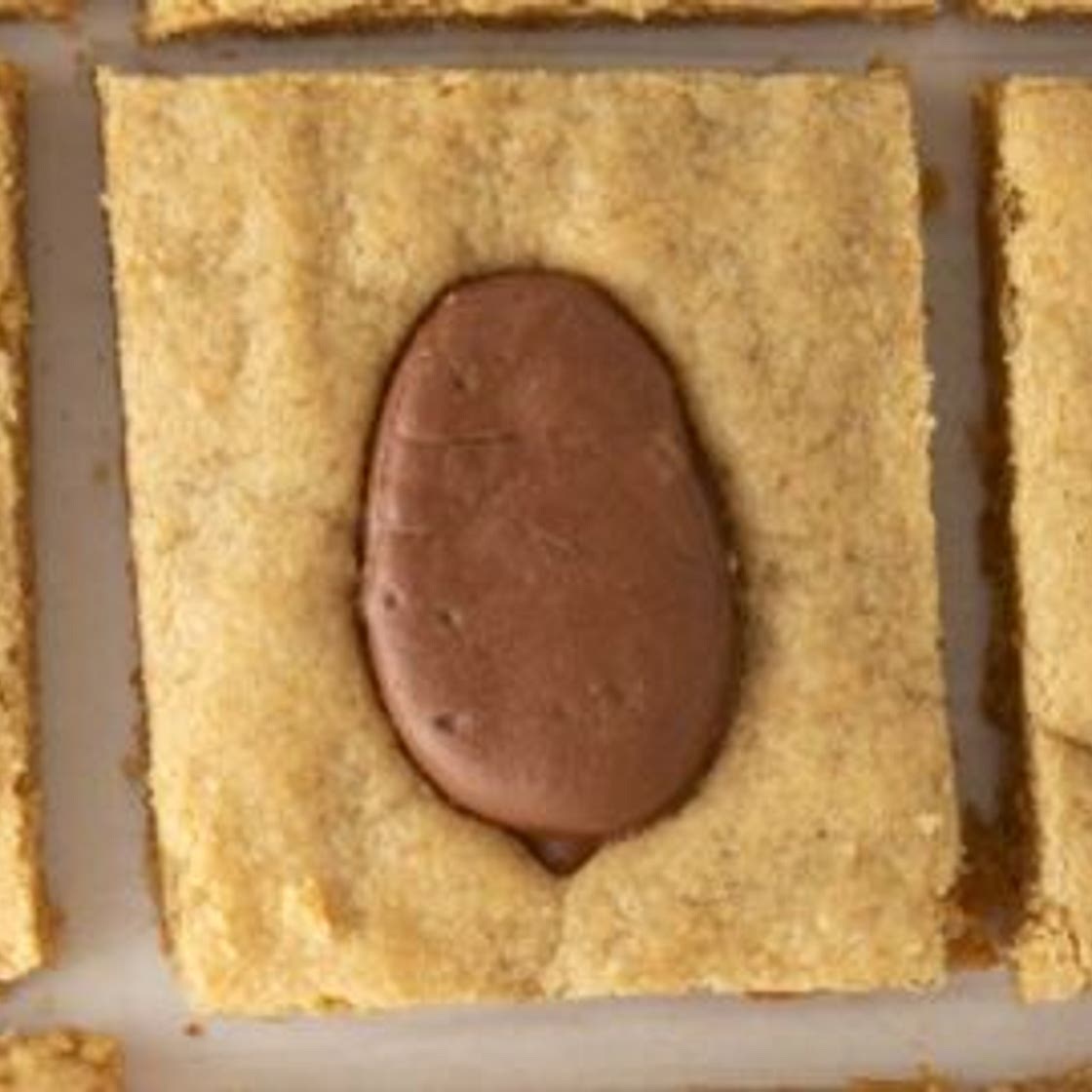 Reese's Egg Peanut Butter Bars