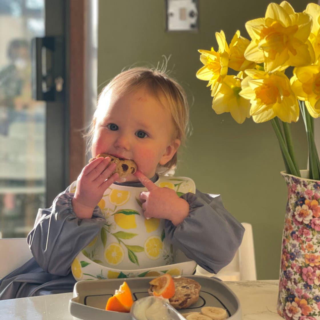 Carrot Cake Hot Cross Buns Recipe - SR Nutrition