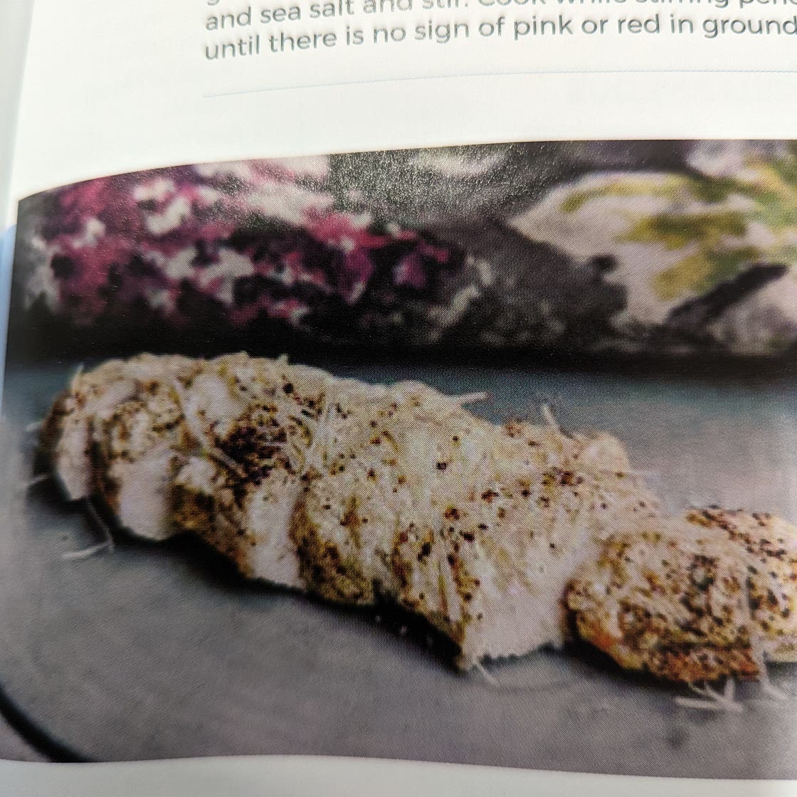 Parmesan Greek Yogurt Chicken