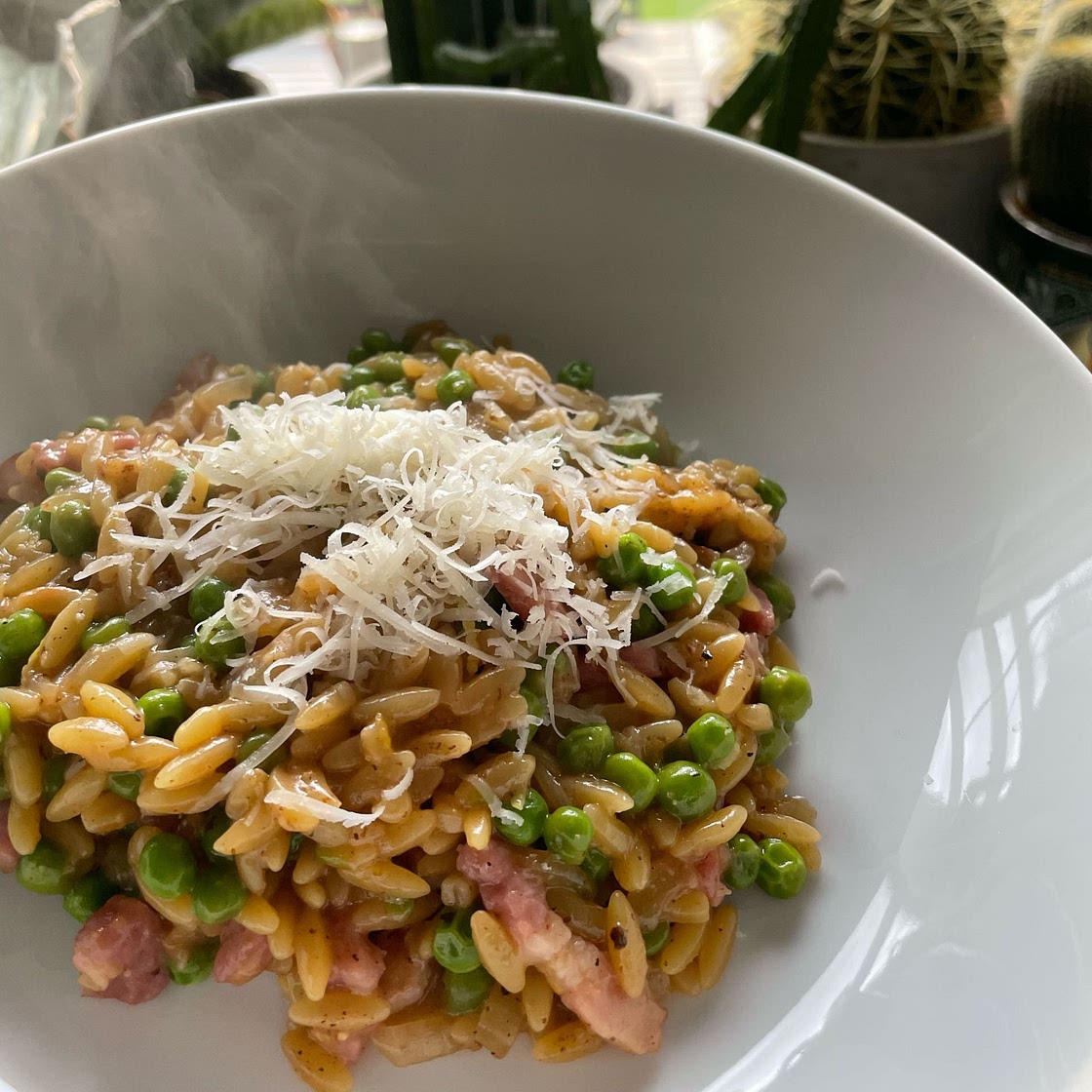 Orzotto with pancetta & peas