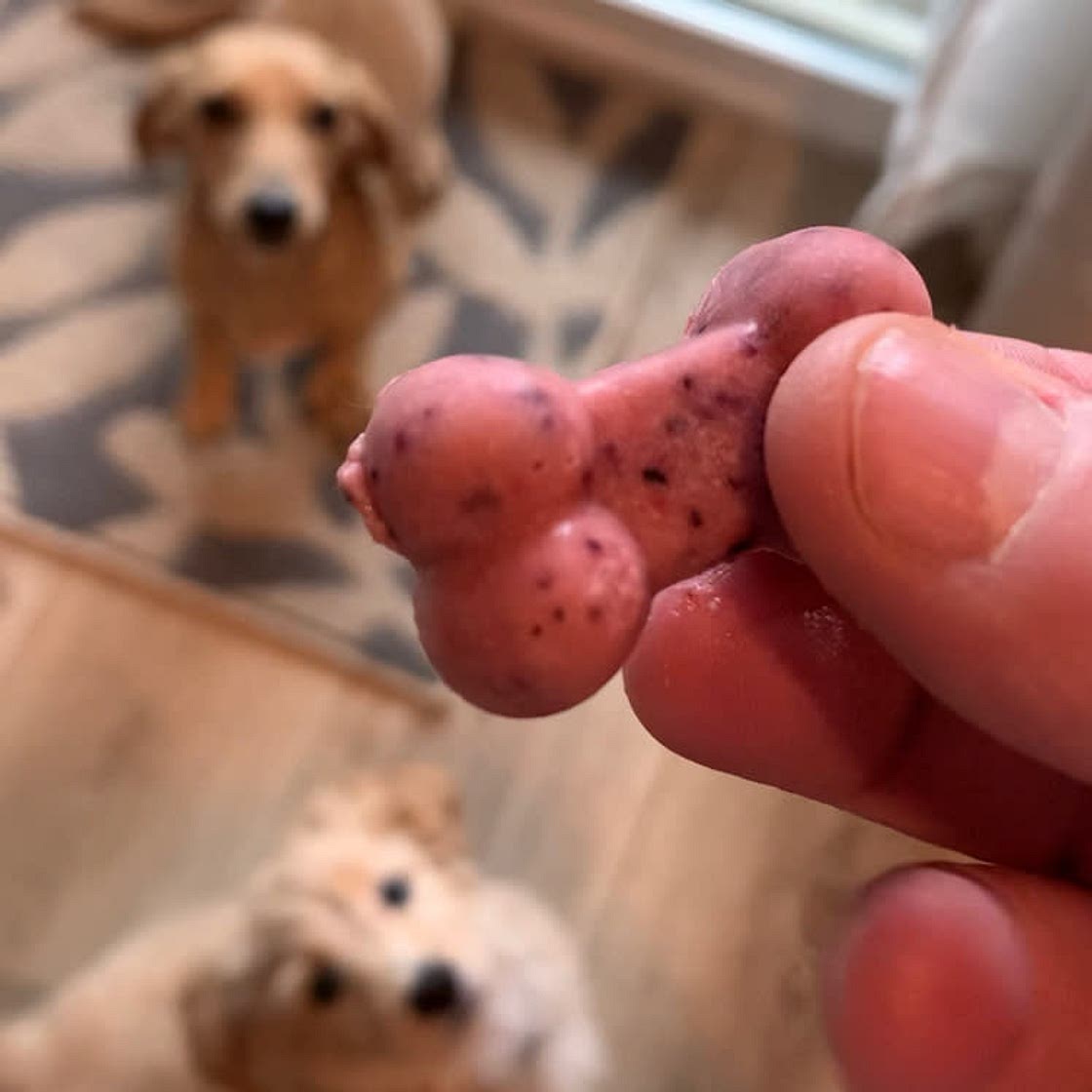 PB Berry Dog Treats