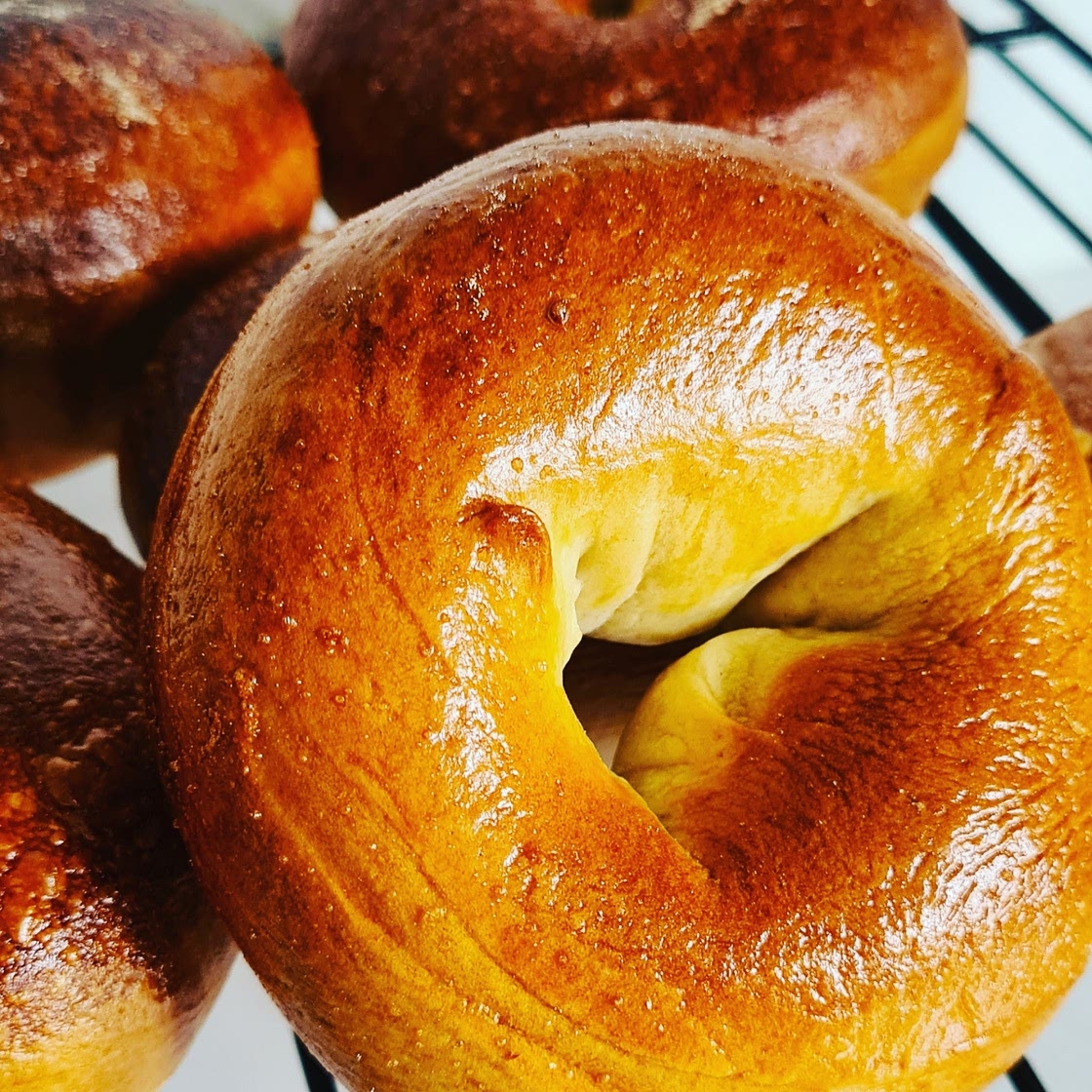 New York Bagel Recipe