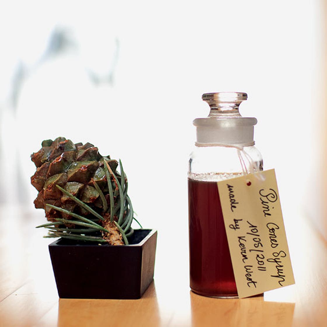 Pine Cone Syrup Recipe