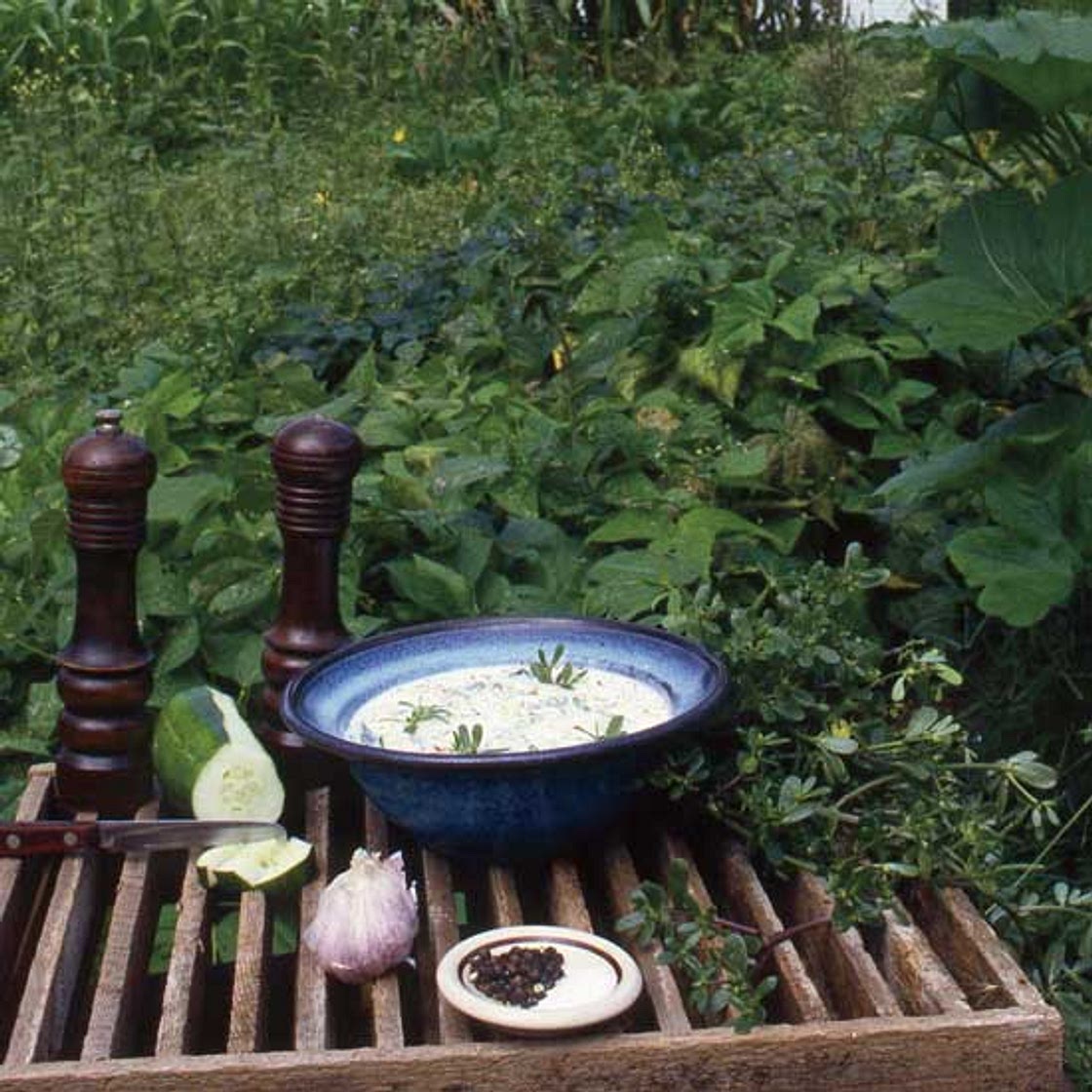 Homemade Tzatziki Recipe with Purslane