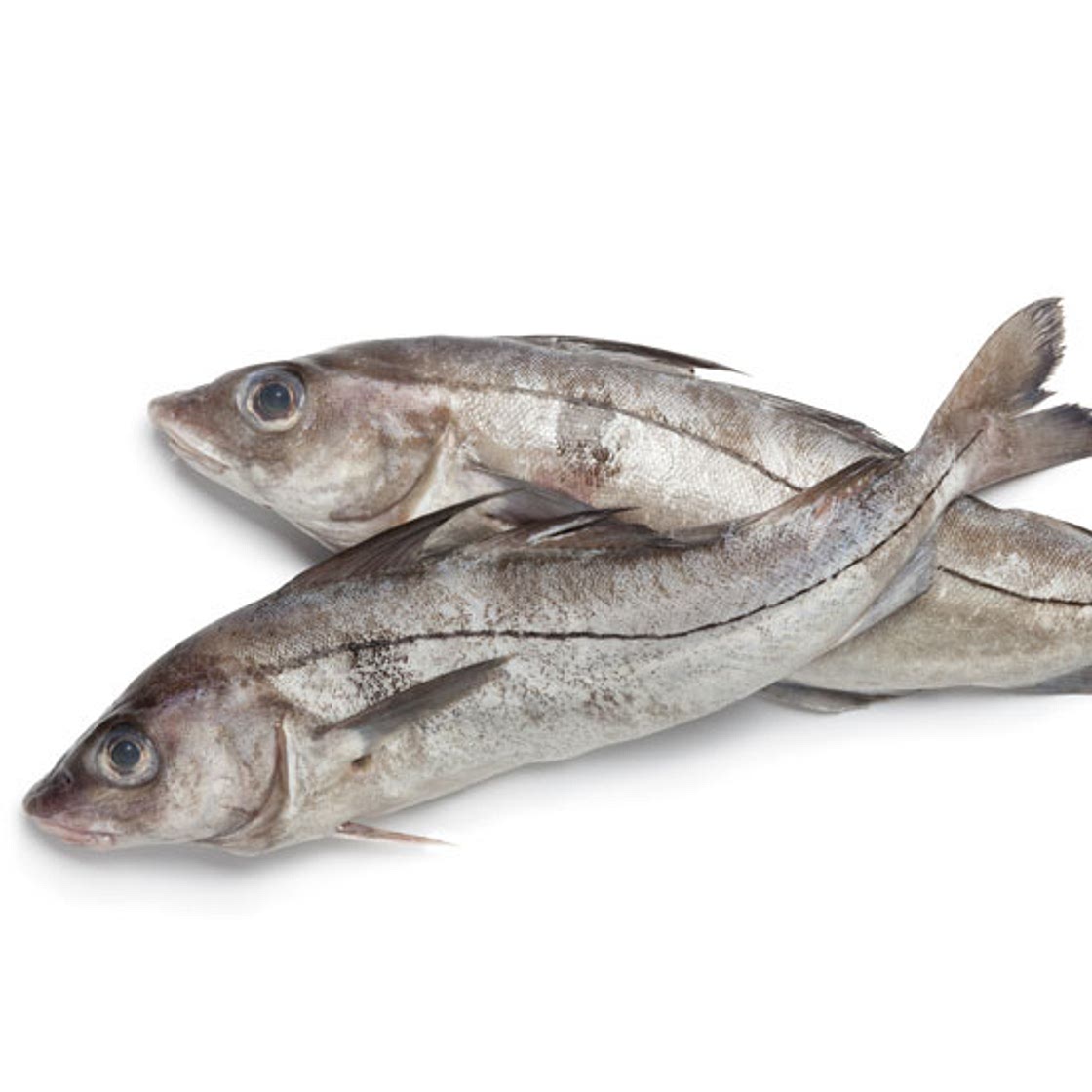 Homemade Fish Stock Recipe