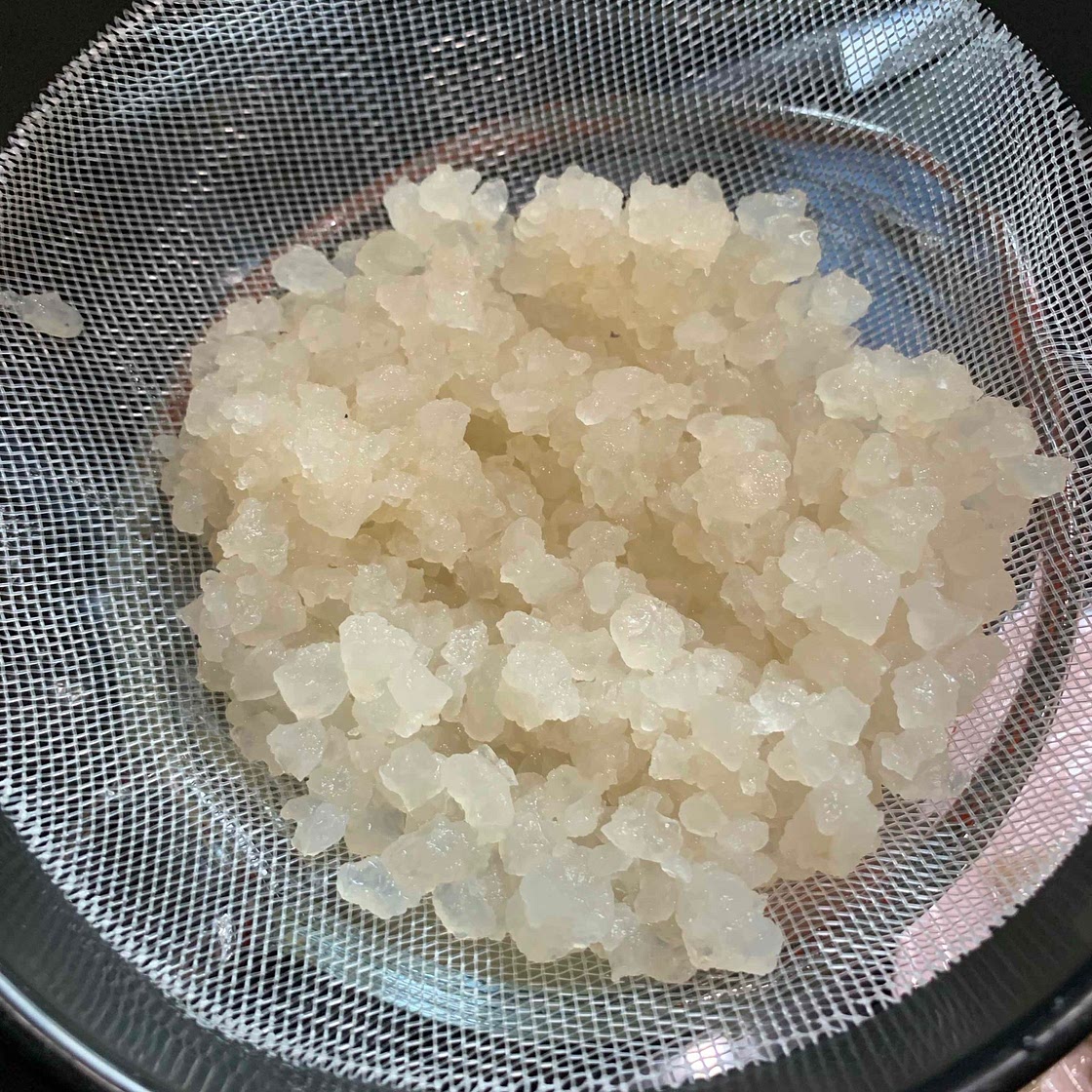 Water kefir 