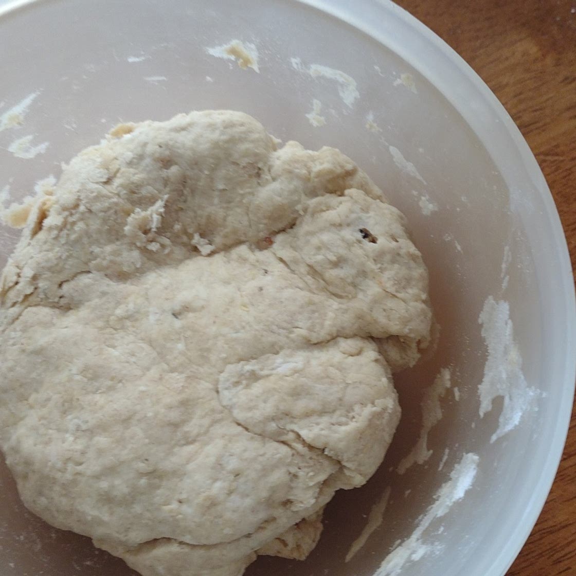 Basic bread dough