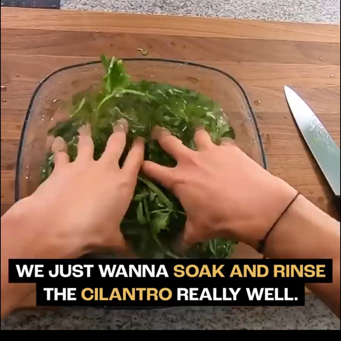 Green cilantro sauce