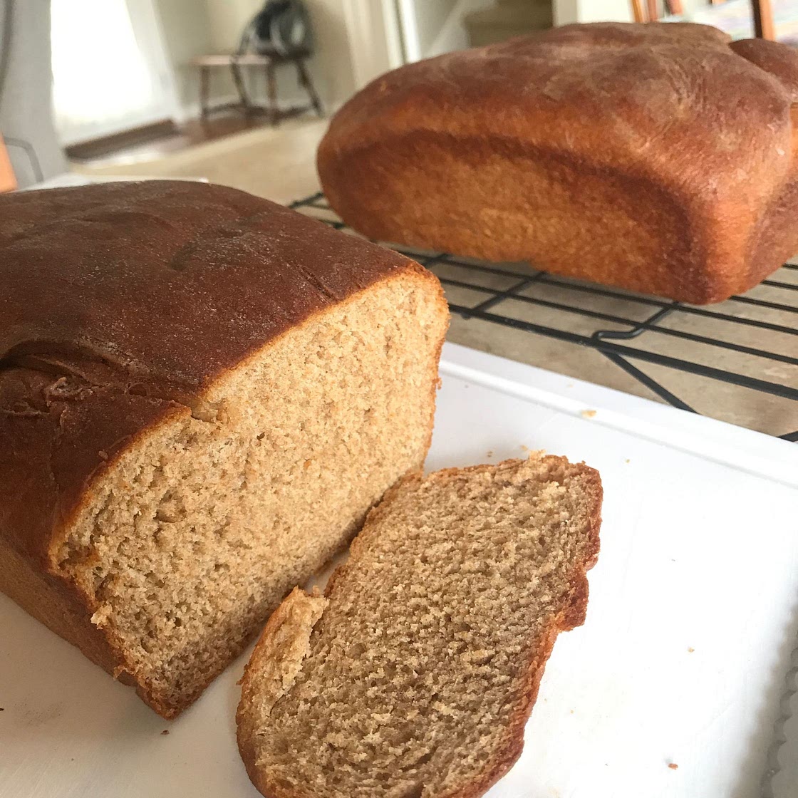 Whole Wheat Bread
