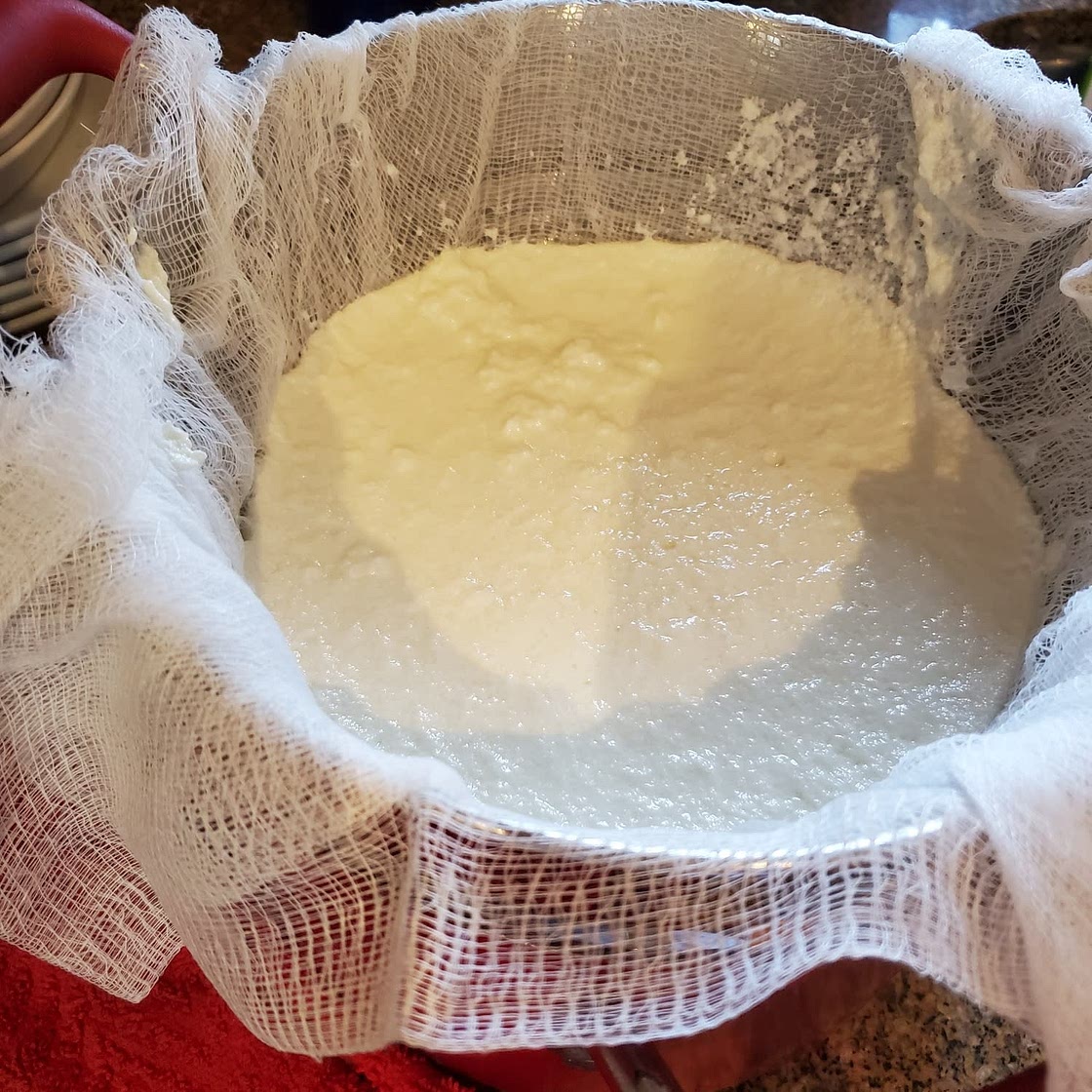 Homemade Ricotta