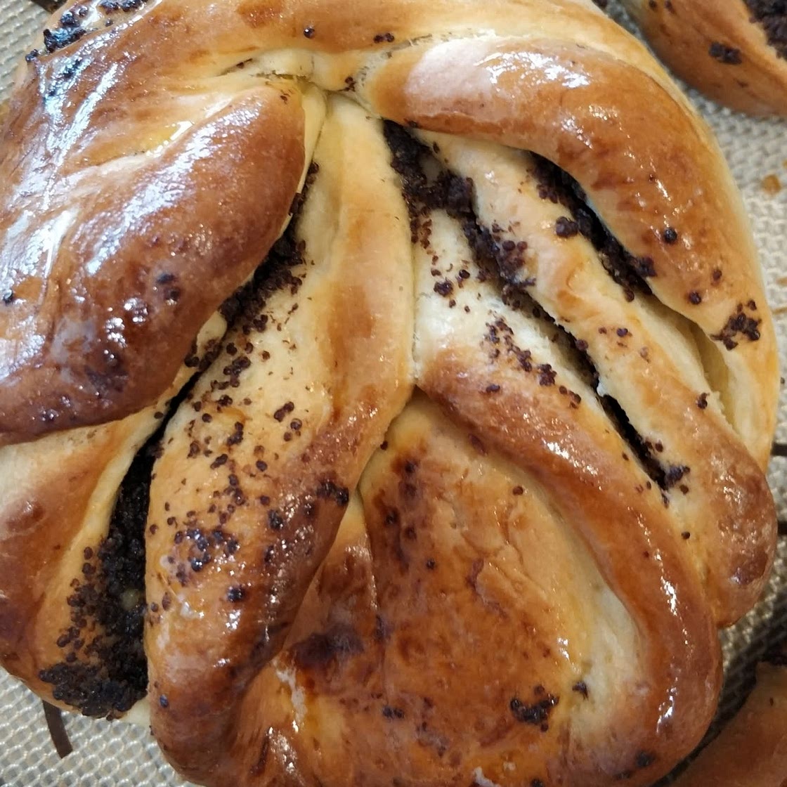 Poppy Seed Buns