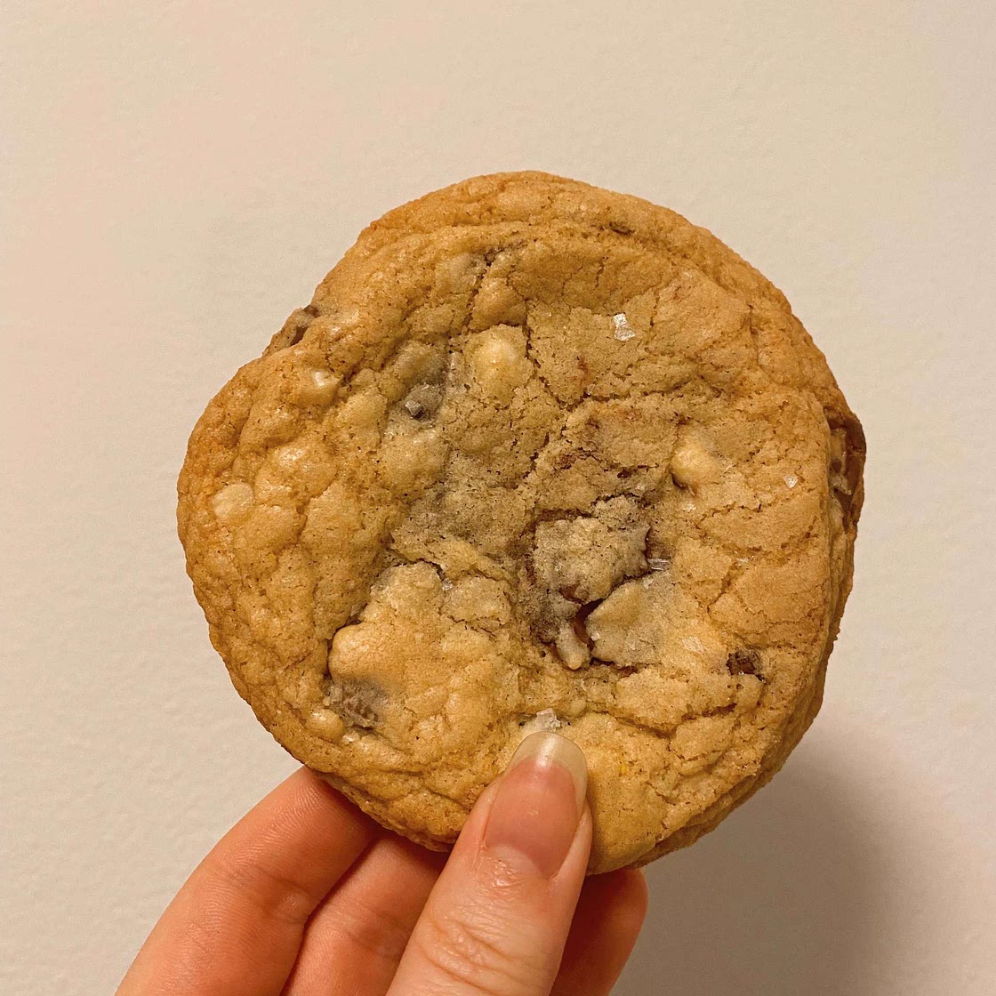 Gluten-Free Chocolate Chip Cookies
