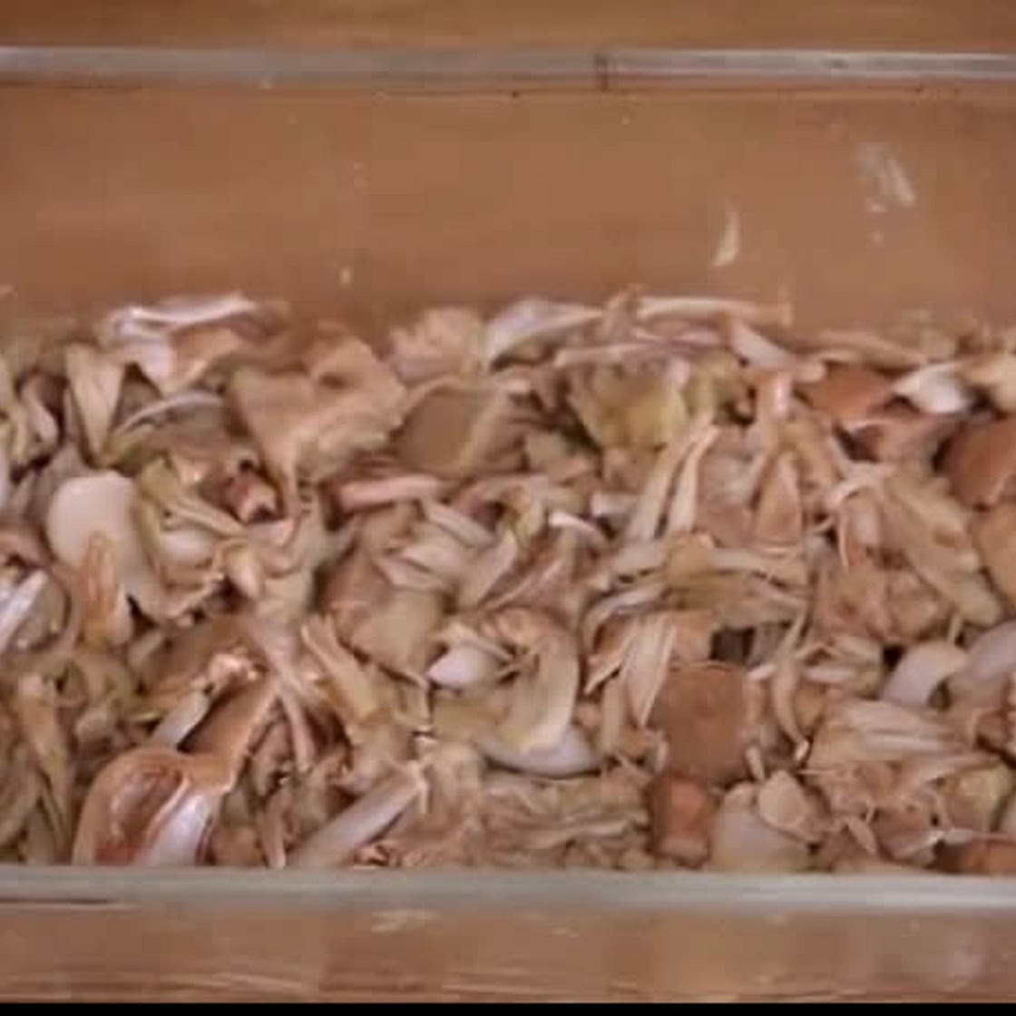 PKU Kalua Jackfruit