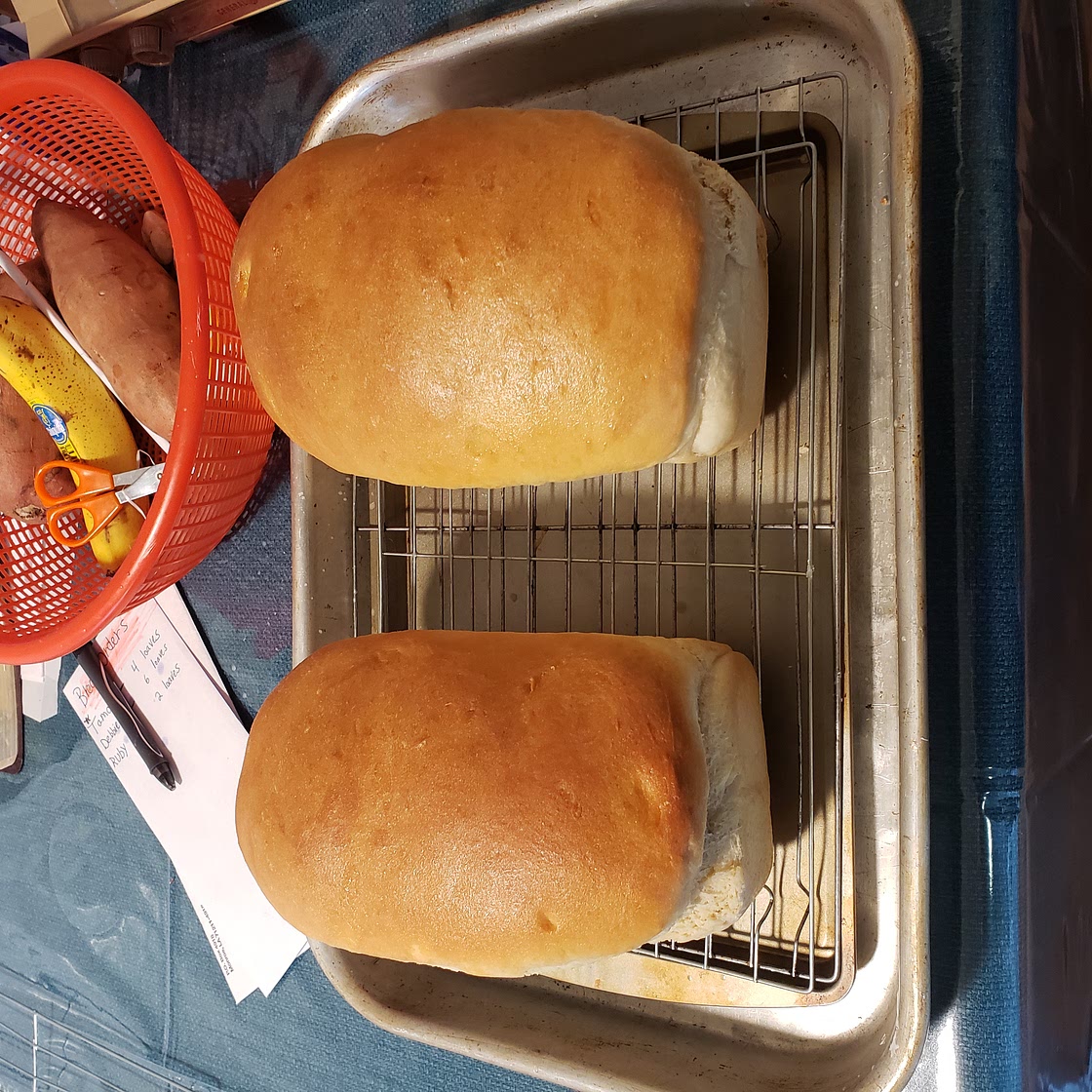 Amish White Bread