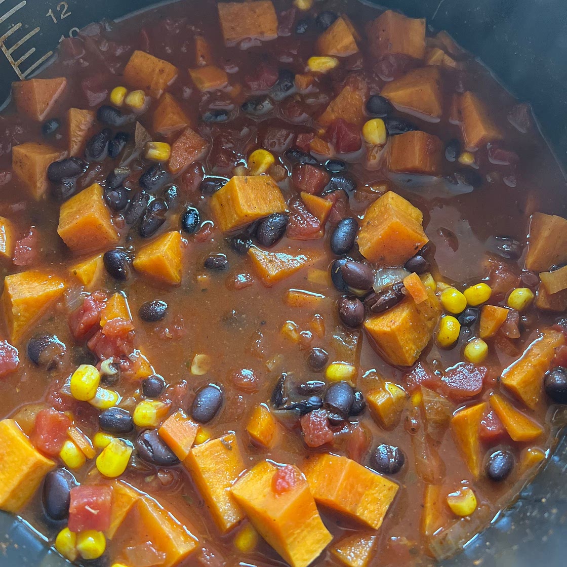 Vegetarian Black Bean and Sweet Potato Chili