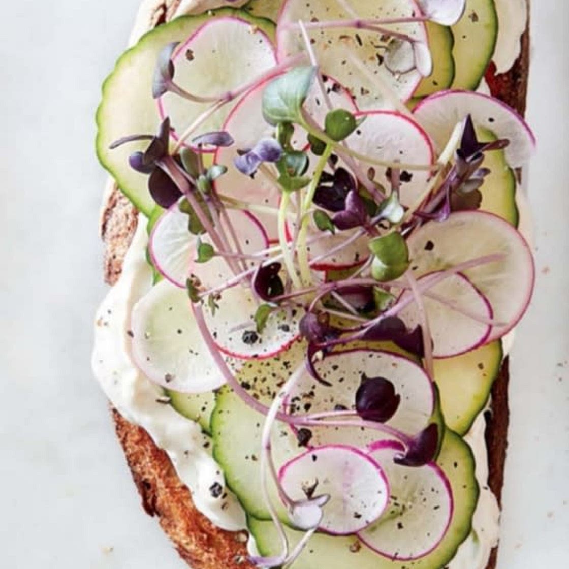 cucumber toasts  with  radishes  & sprouts