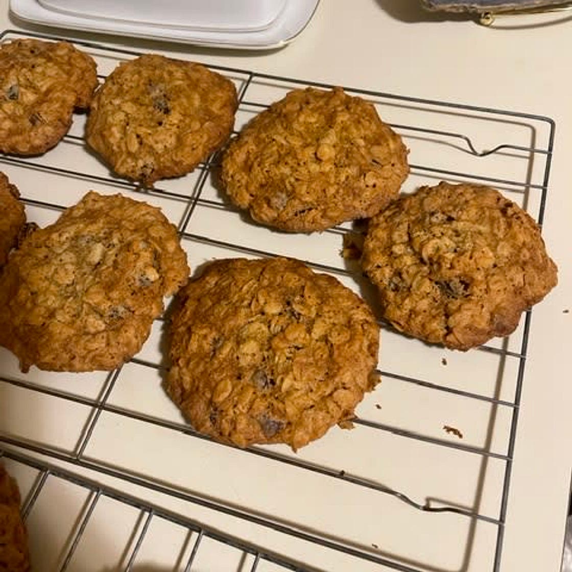 Oatmeal raisin coconut chocolate cookies, gf & sugar friendly