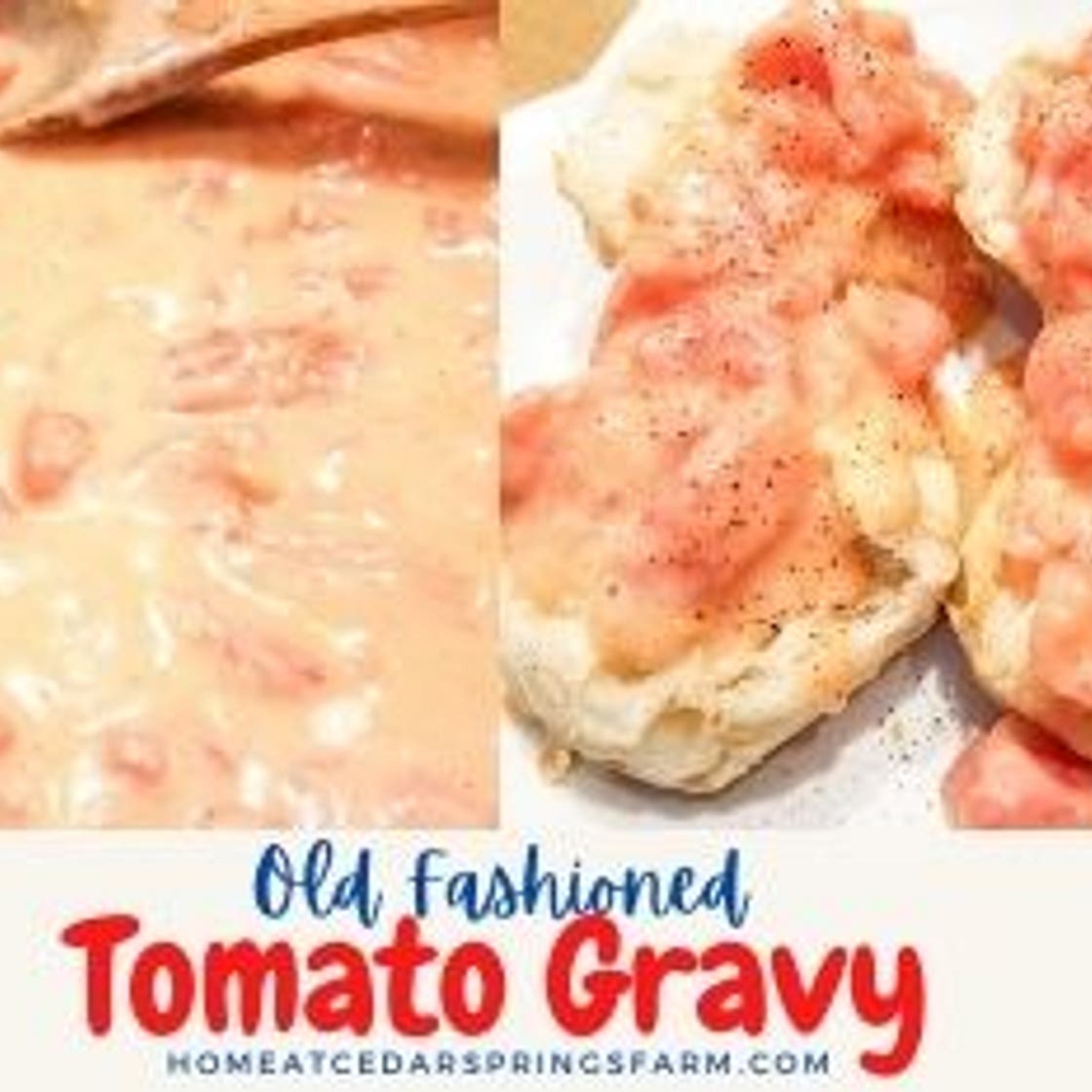 Southern Tomato Gravy