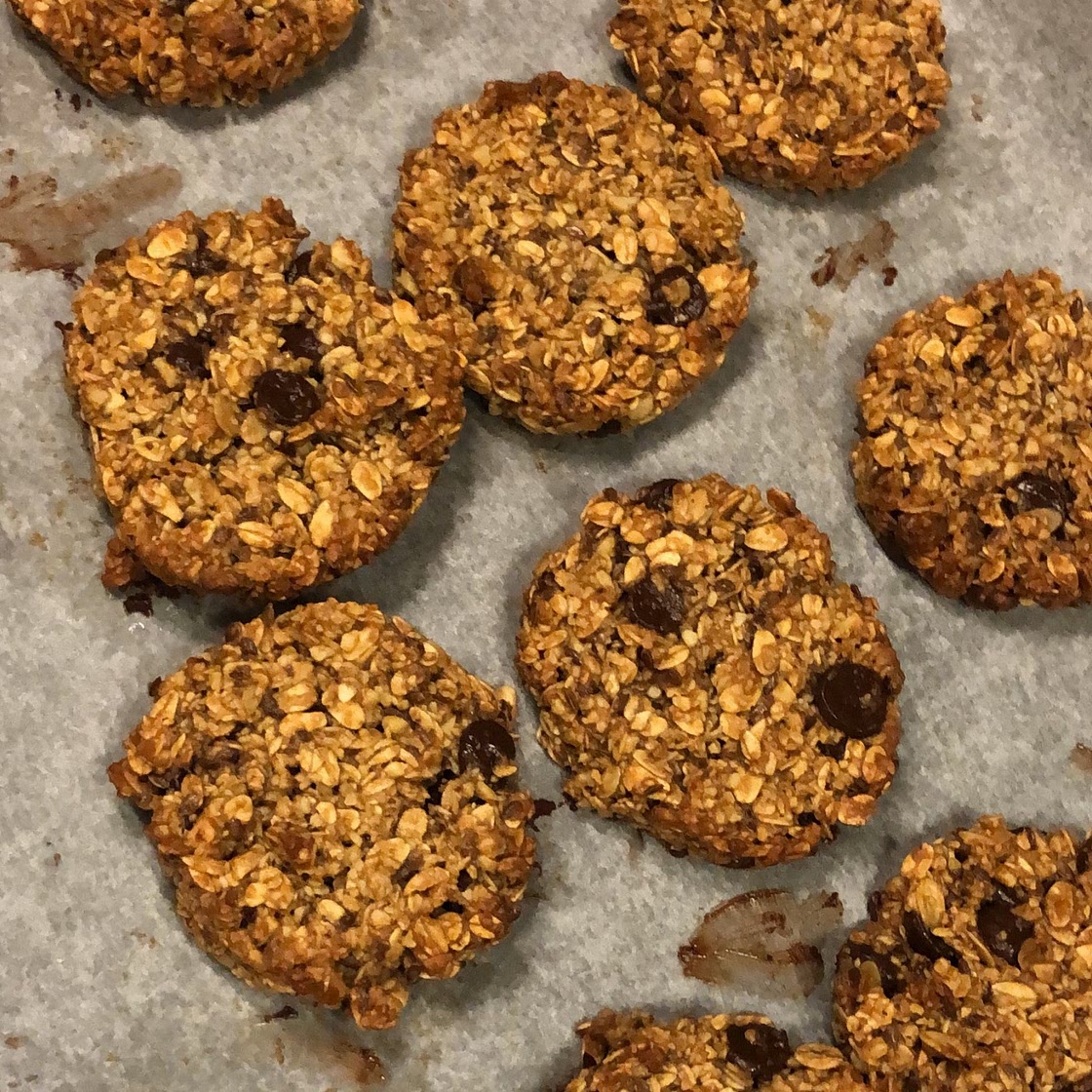 Vegan "Turtle" Oatmeal Cookies