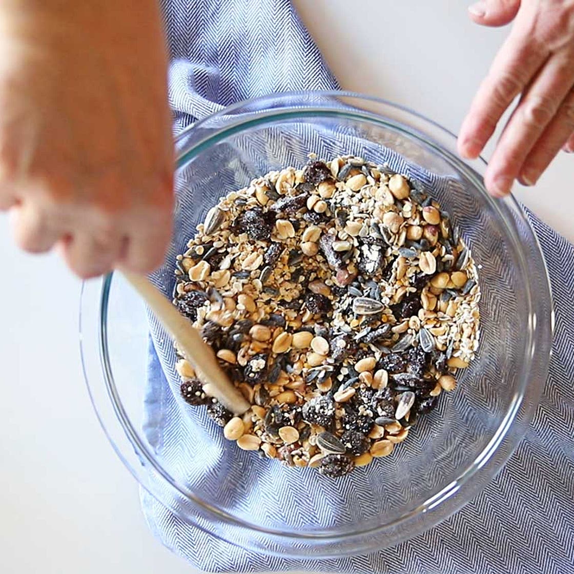 DIY Suet Cakes