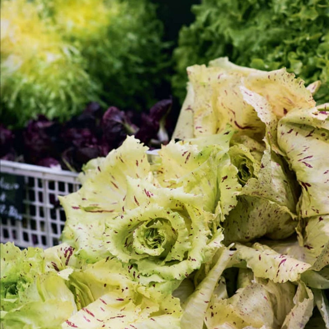 GREENGROCER GREEN SALAD