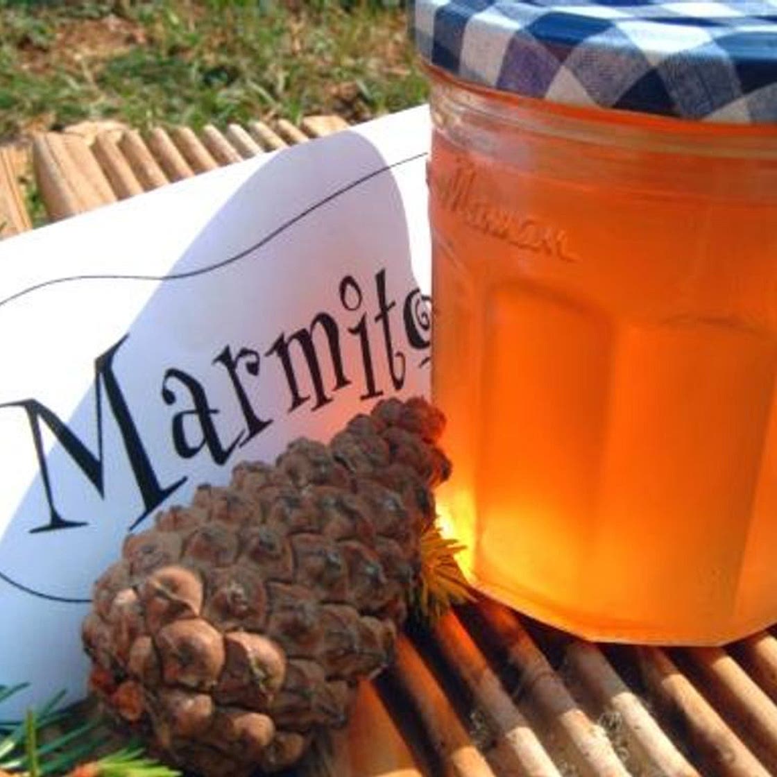 Confiture de bourgeons de sapin